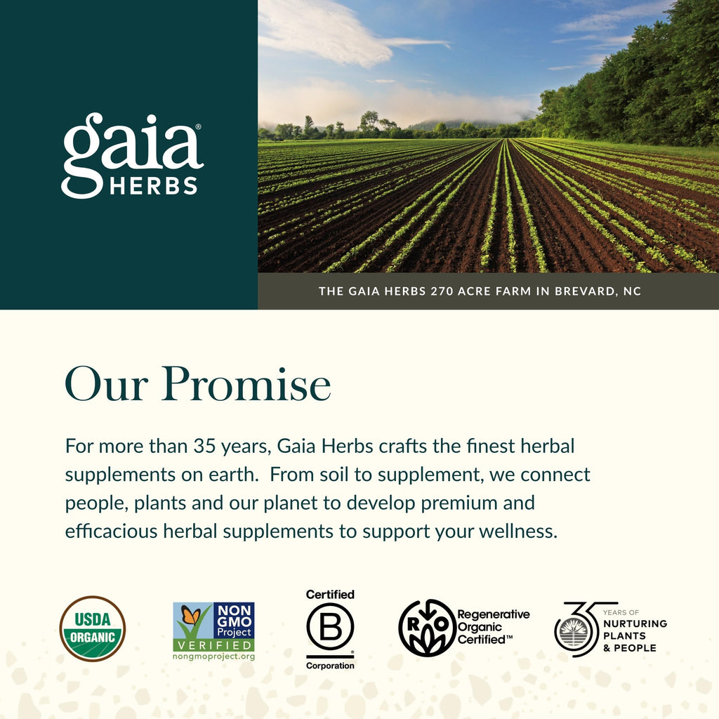 Gaia Herbs Ginger-Beet Postbiotic - Supplement for Gut & Heart Health Support* - Made with Fermented Beets & Ginger - Free from Dairy, Soy & Gluten - 60 Vegan Liquid Phyto-Caps (30 Servings) Gaia Herbs Au supplements
