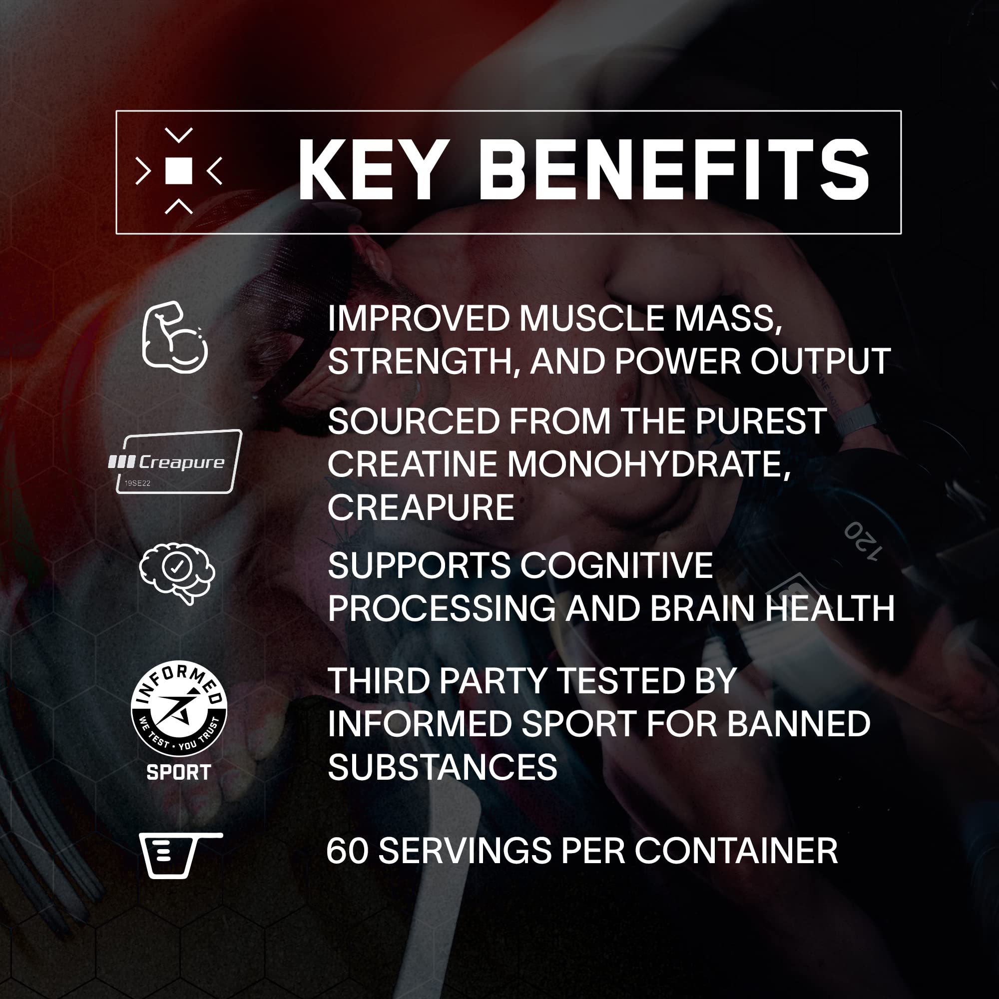 BARE PERFORMANCE NUTRITION, BPN Pure Creatine Monohydrate Powder by Creapure, 5g of Creatine per Serving, Supports Muscle Growth
