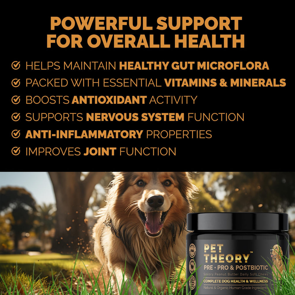 Pet Theory Probiotics for Dogs. Dog Digestive Health-Pre Pro and Postbiotic Combination-Pet Supplements for Gut Health-Supports Digestion, Boost Immunity-100CT Soft Chews Pet Theory Au supplements