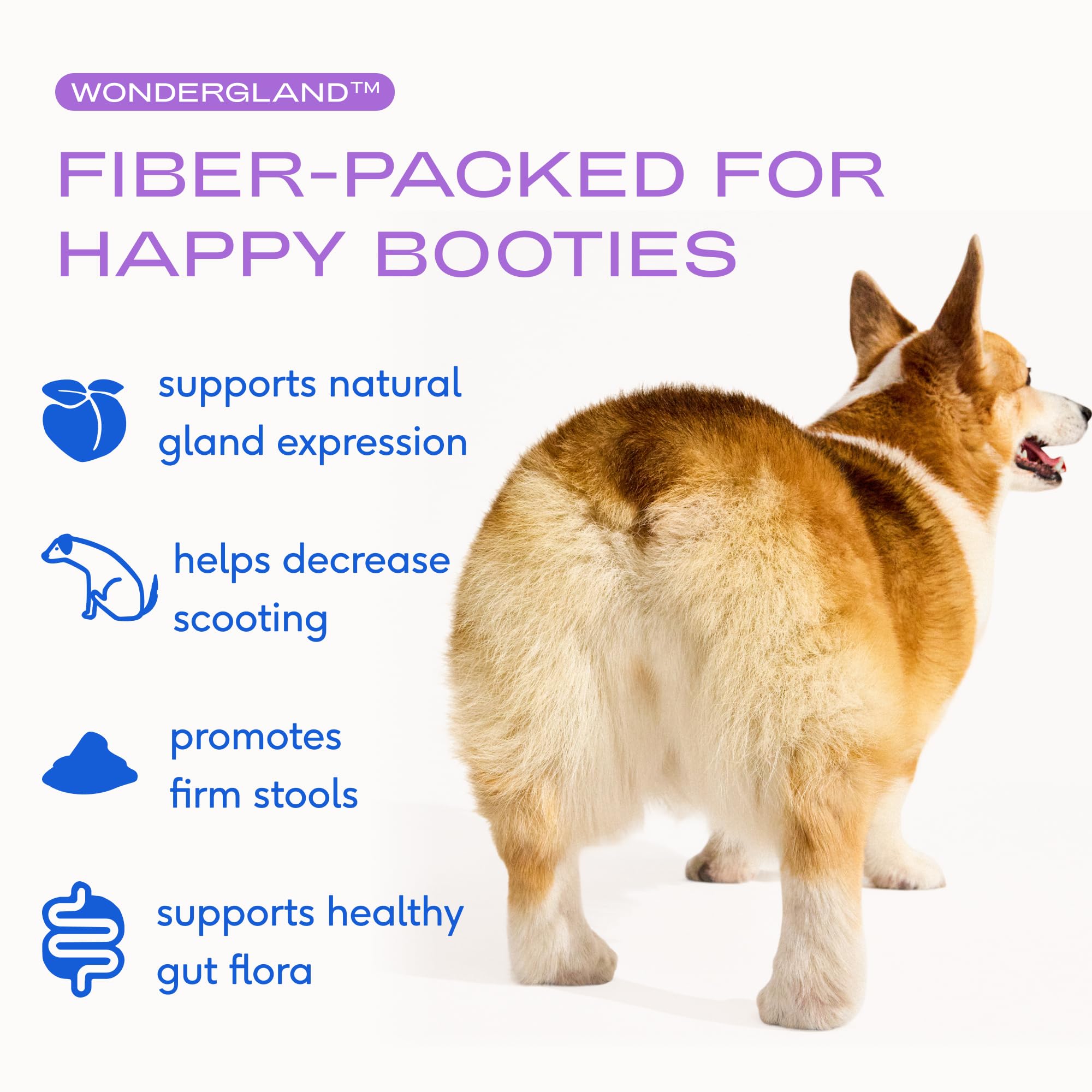 Native Pet WonderGland - Dog Anal Gland Supplement - Promotes Firm Stools, Natural Gland Expression to Help Reduce Scooting - Fiber Food Topper with Miscanthus Grass, Pumpkin & Probiotics - 30 Scoops Native Pet Au supplements