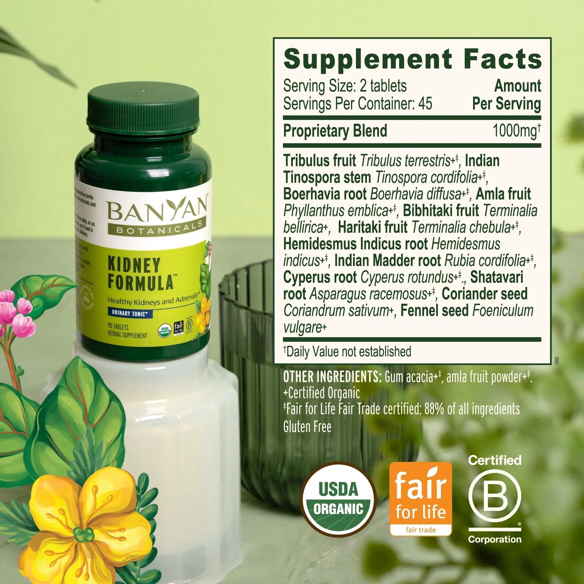 Banyan Botanicals Organic Kidney Formula–Urinary Tract Support & Detox Supplement–Gokshura & Punarnava for Fluid Balance & Systemic Cleansing–Cooling Genitourinary Tonic-90 Tablets-USDA Organic Banyan Botanicals Au supplements