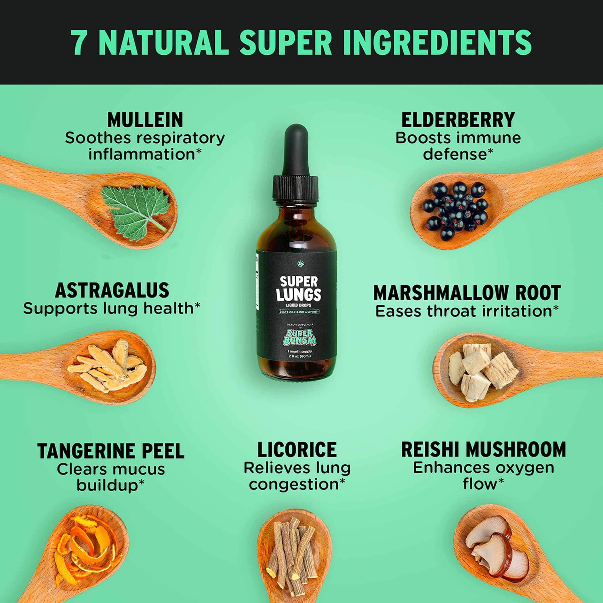 SuperBonsai Super Lungs Mullein Drops – Herbal Lung Support Tincture with Mullein Leaf Extract Elderberry Reishi Marshmallow Root