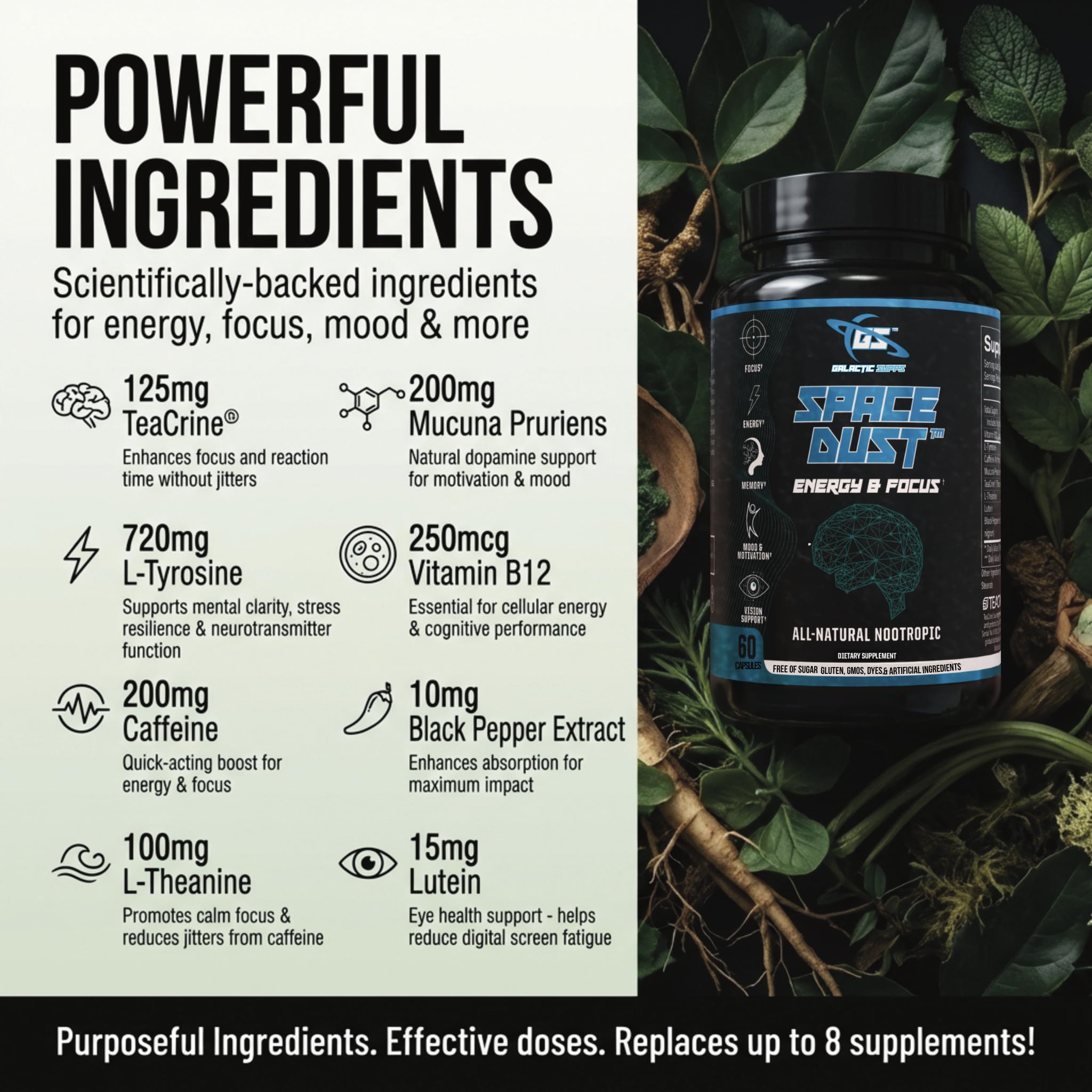 Space Dust Brain Supplements for Memory and Focus – Nootropic Focus Supplement for Brain Health & Mind Boost with TeaCrine, Caffeine, L-Tyrosine, L-Theanine – Cognitive Support Capsules, 60 Count GALACTIC SUPPS Au supplements