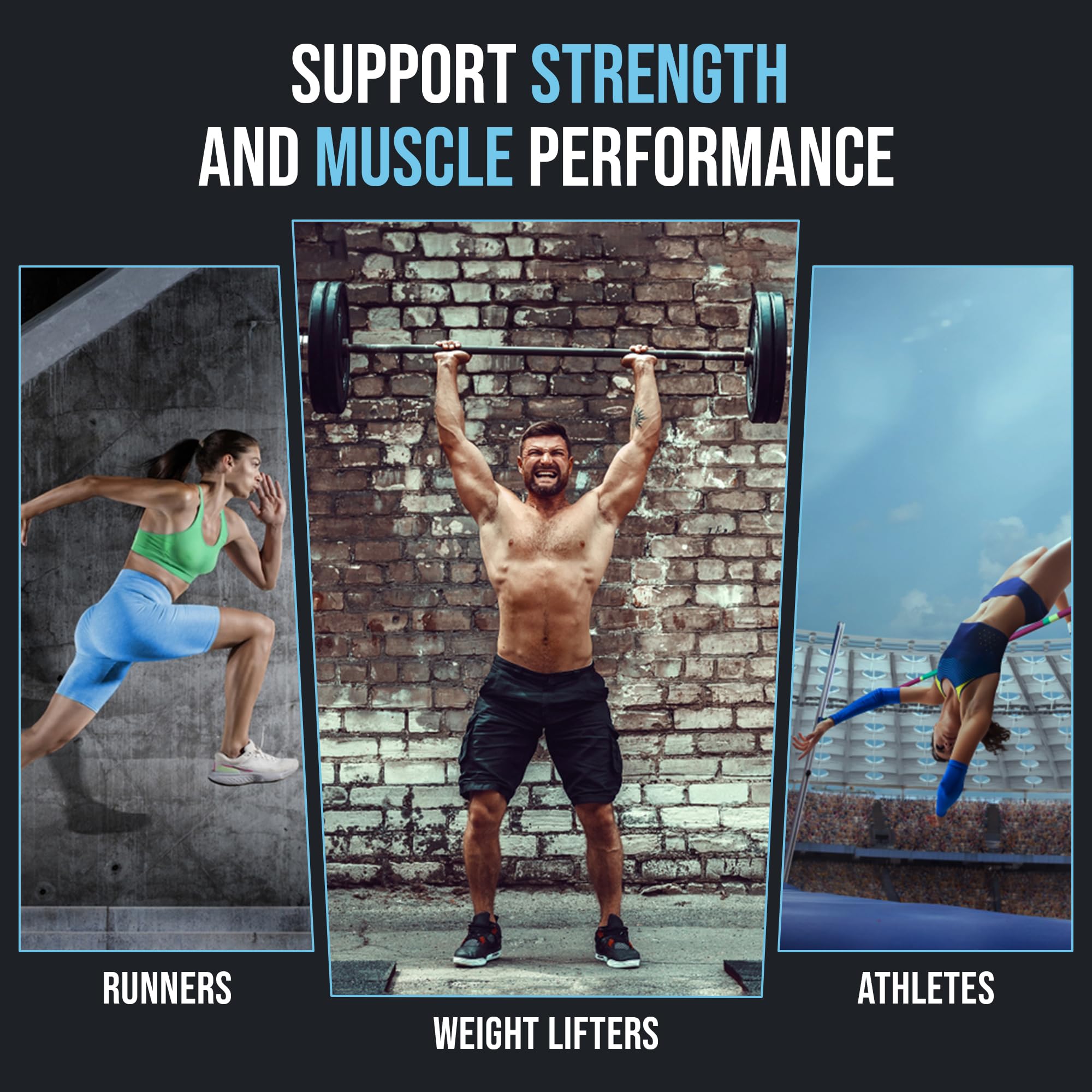 NHHS Micronized Creatine Monohydrate – Supports Strength & Muscle Performance | Ultra-Pure, Unflavored, 60 Servings, 300 Grams – Made in USA, Gluten-Free, Non-GMO NHHS Au supplements