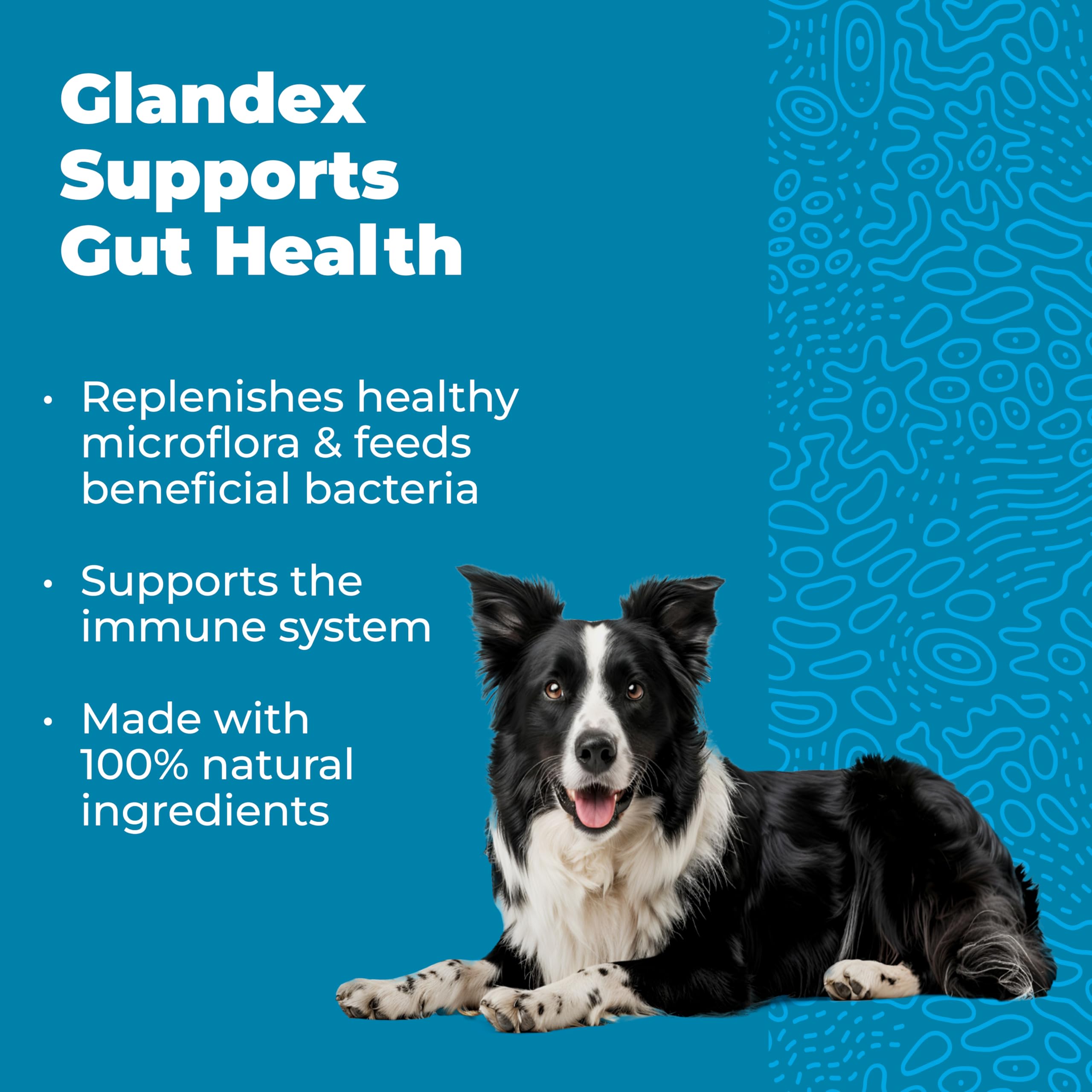 Vetnique Glandex Daily Probiotics for Dogs with Prebiotics to Support Gut Health with Fiber and Digestive Enzymes, Dog Probiotic Chews or Powders (30ct Chews, Bacon Chews) Vetnique Au supplements