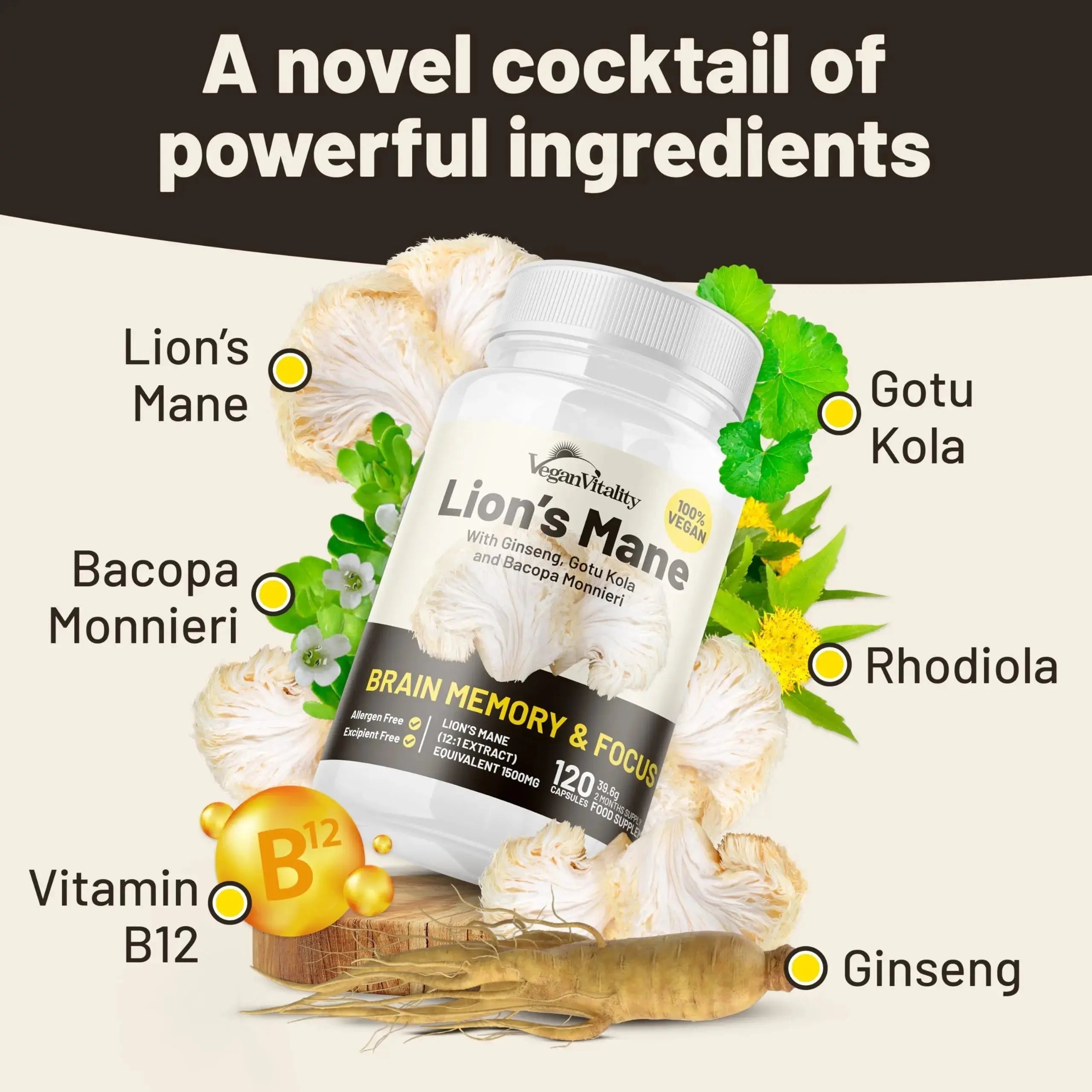 Vegan Vitality Lion's Mane x General Health Combo Bundle - 6 Months Lion's Mane and Multivitamins Vegan Vitality Au supplements