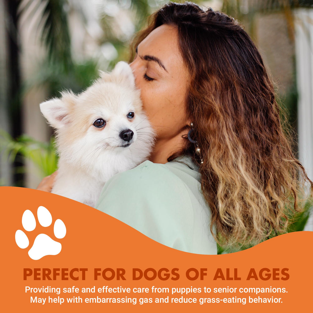 Pre & PostBiotic Support for Dogs – Digestive Upset, Stool Quality & Sensitive Stomach Support – Easy Liquid Formula for Picky Eaters LIQUID-VET Au supplements