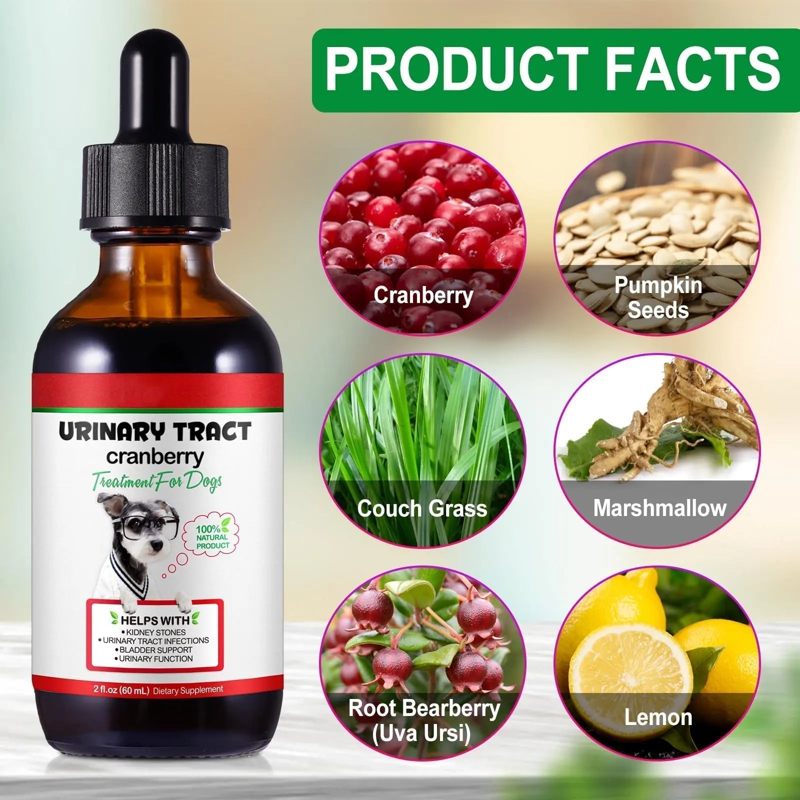 Dog UTI Treatment - Urinary Tract Infection Treatments, Kidney+Bladder Support Supplement, Natural Cranberry Extract for Dogs, Supports Urinary and Digestive Health (2 Fl Oz (Pack of 2)) Onznoz Au supplements