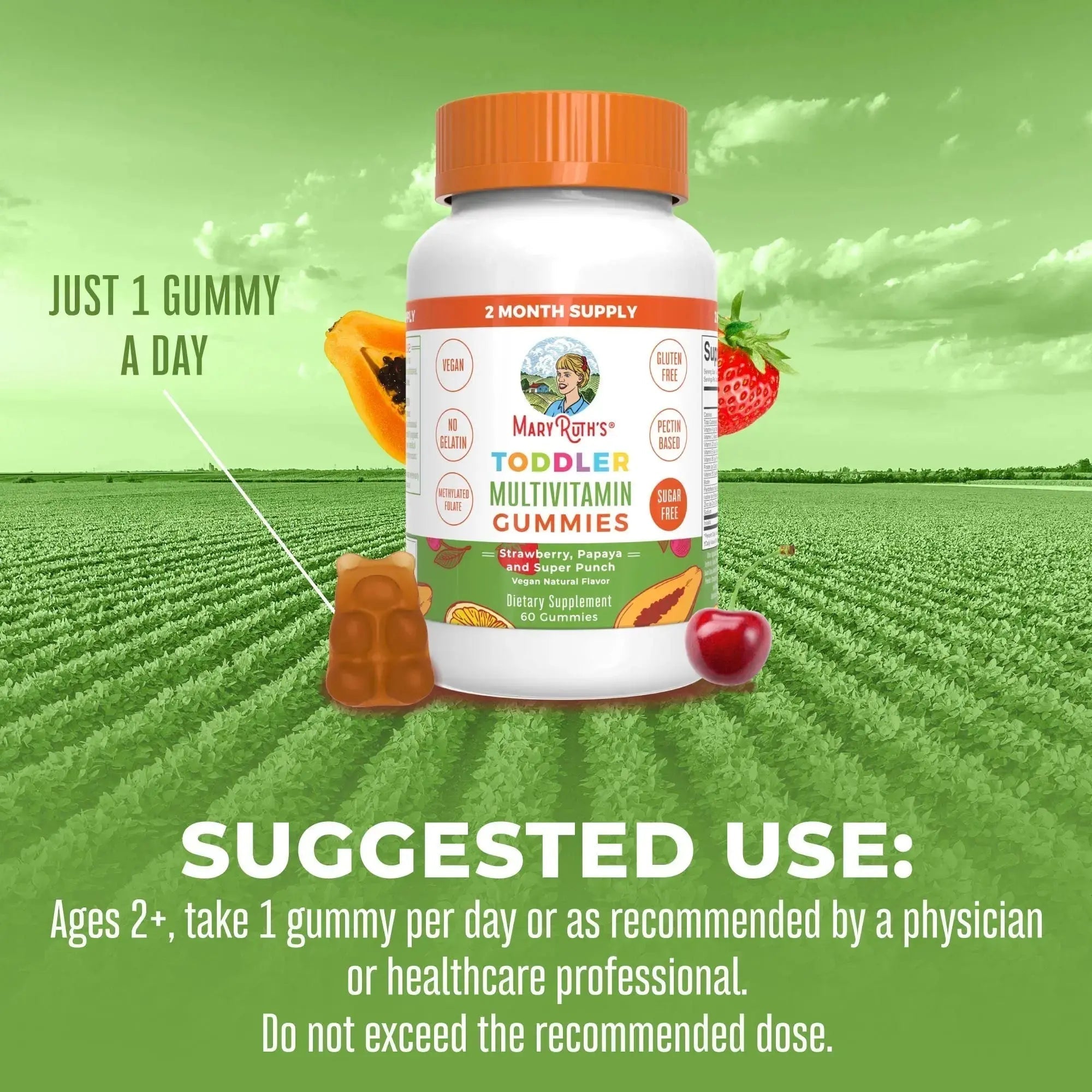 MaryRuth Organics Sugar Free Vitamin Gummies for Kids Age 2 | 2 Month Supply Multivitamin with Vitamin C, D3, Zinc | 1 Gummy Per Day | Toddler Vitamins MaryRuth Organics Au supplements