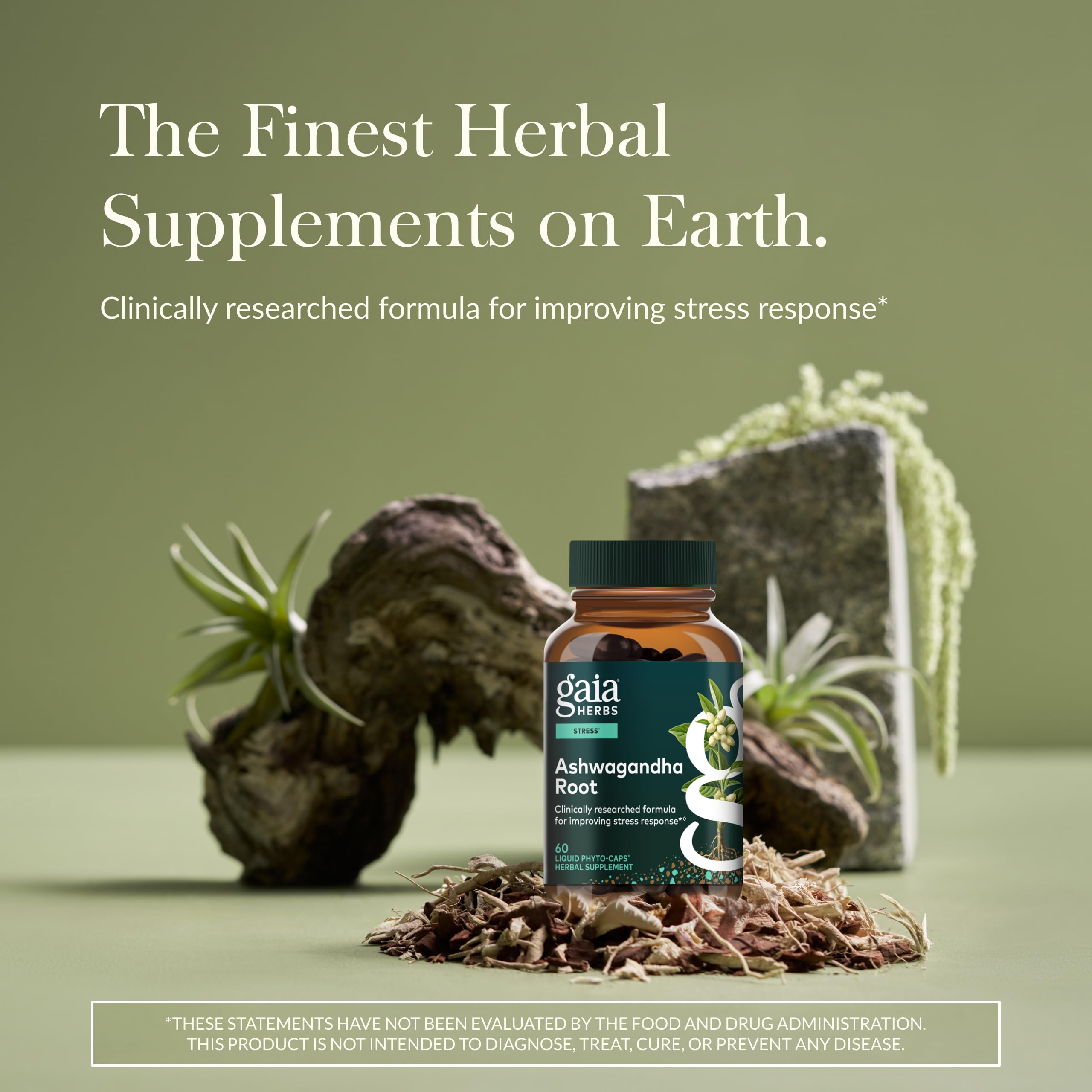 Gaia Herbs Ashwagandha Root - Stress Relief & Sleep Support Supplement - Supports Balanced Energy Levels & Positive Outlook