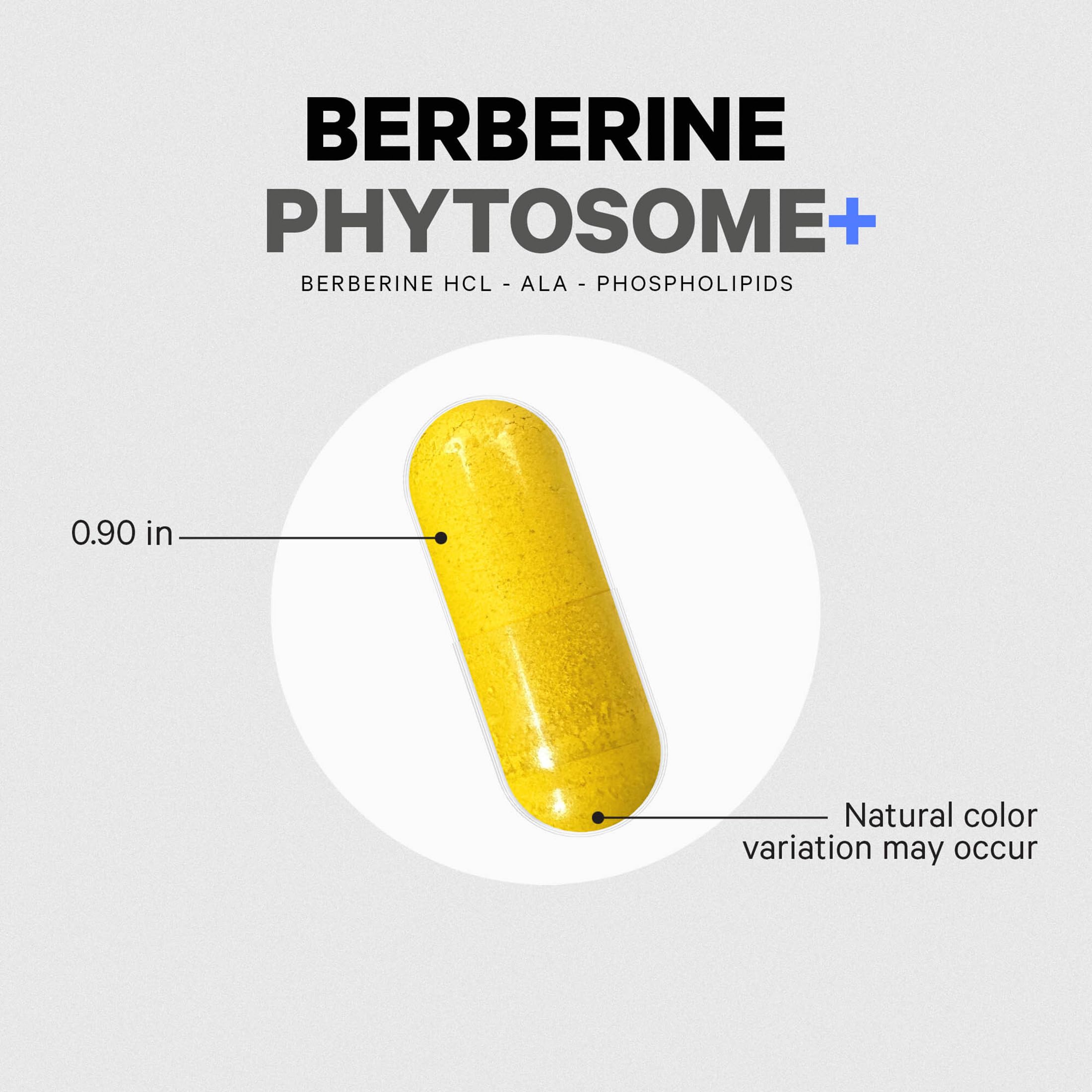 Codeage Berberine Phytosome Supplement - Berberine HCL, Alpha Lipoic Acid, Phospholipid Complex - 2-Month Supply - Berberine HCL - Berberine Hydrochloride - Gluten-Free, Non-GMO - 60 Capsules Codeage Au supplements