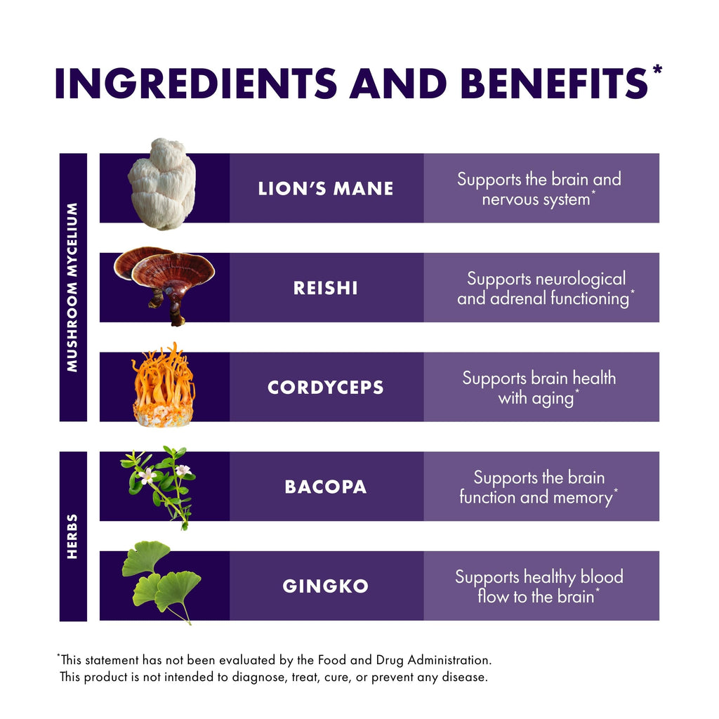 Host Defense MycoBotanicals Brain* Capsules - Brain Support Supplement with Lion's Mane, Reishi & Cordyceps Mushroom - Herbal Supplement for Memory & Focus Support - 60 Capsules Host Defense Au supplements