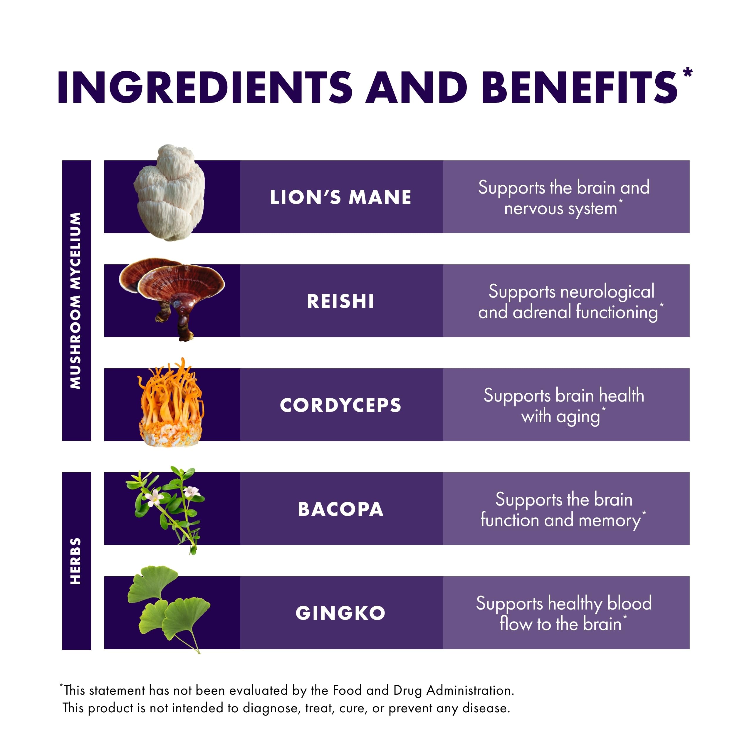 Host Defense MycoBotanicals Brain* Capsules - Brain Support Supplement with Lion's Mane, Reishi & Cordyceps Mushroom - Herbal Supplement for Memory & Focus Support - 60 Capsules Host Defense Au supplements