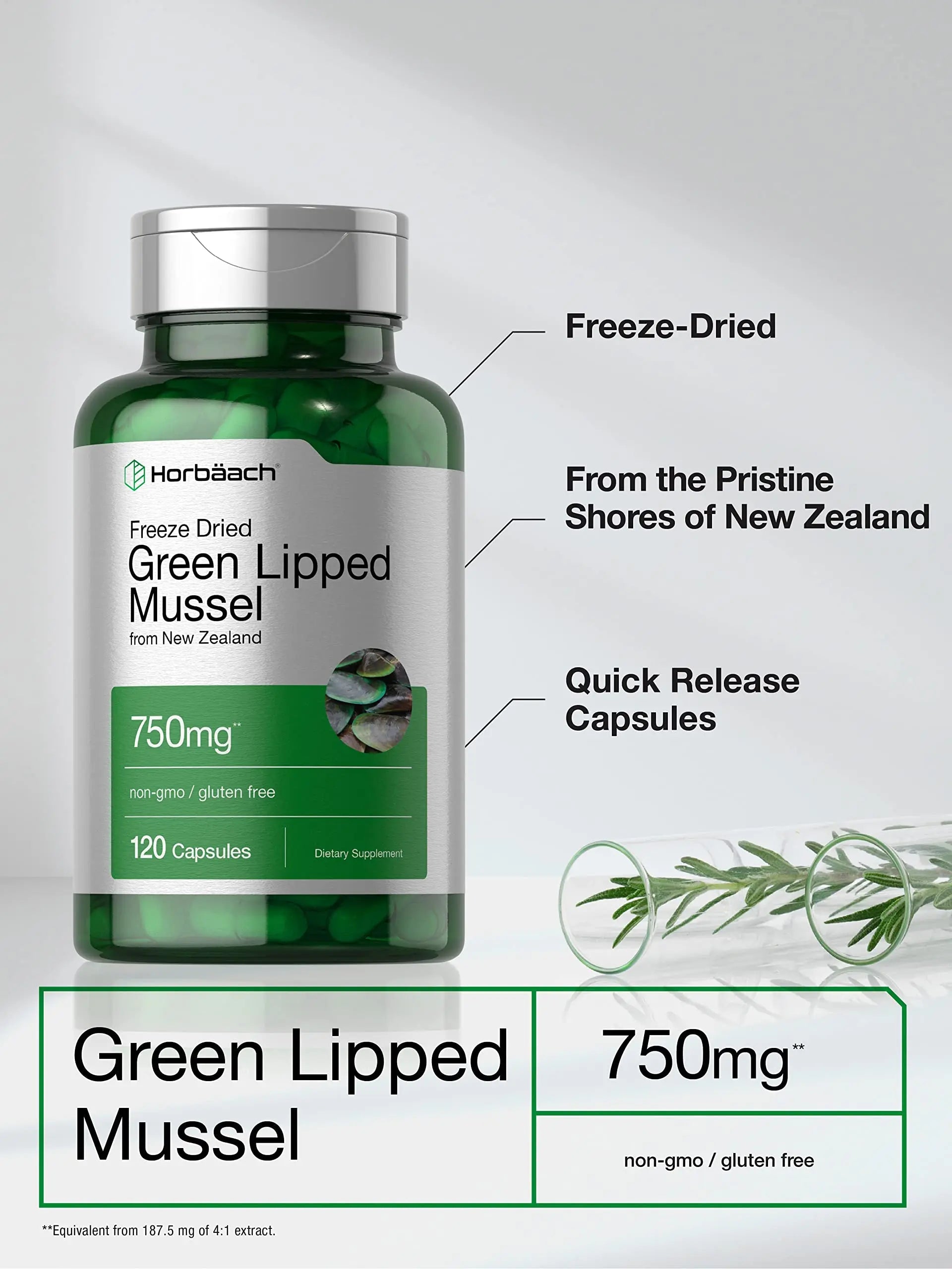 Green Lipped Mussel | 750 mg | 120 Capsules | from New Zealand | Premium Freeze Dried Horbäach Au supplements