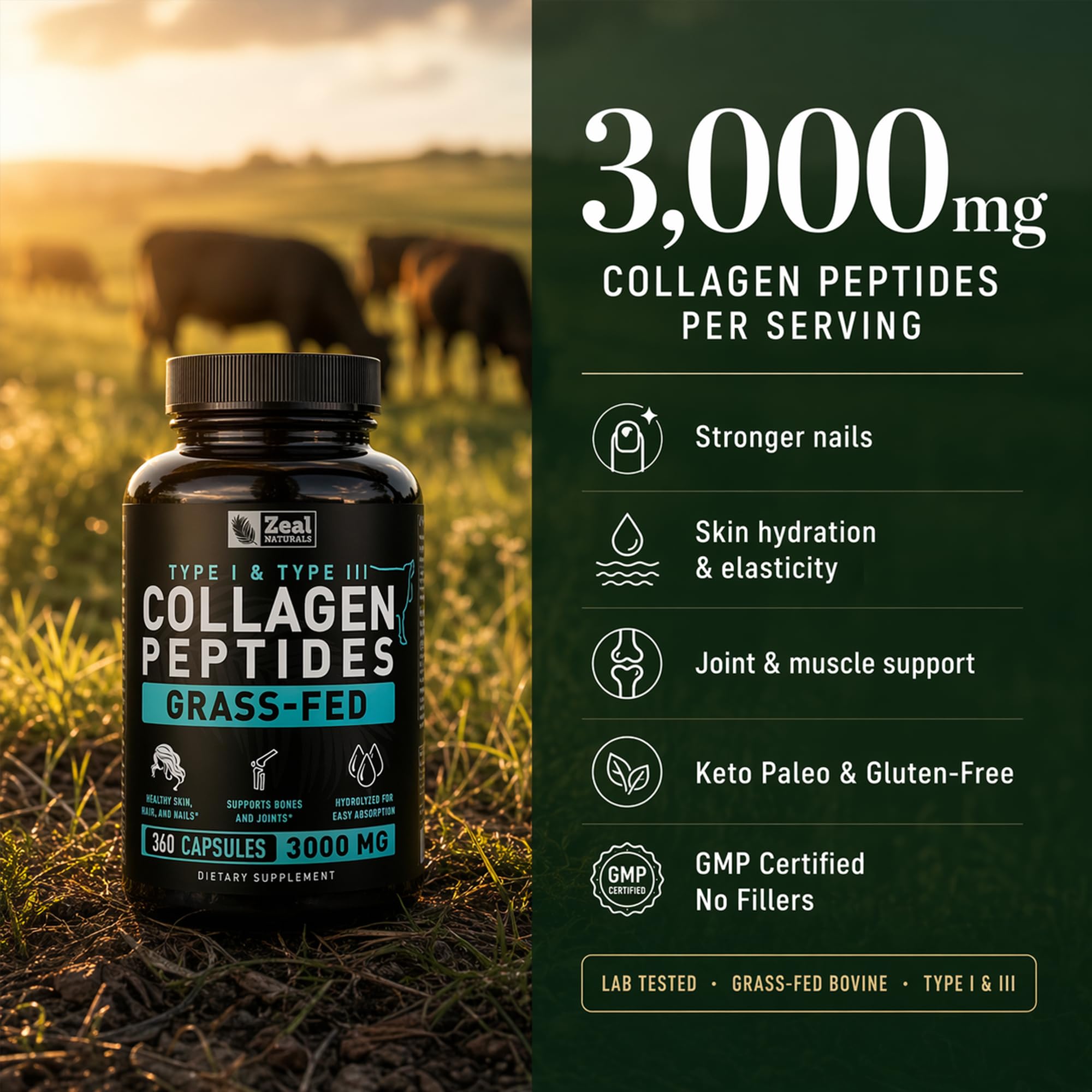 Collagen Peptides Capsules 360 Count - Grass Fed Bovine Hydrolyzed Collagen Pills - Hair, Skin & Nails, Joint Support - Collagen Supplements for Women & Men