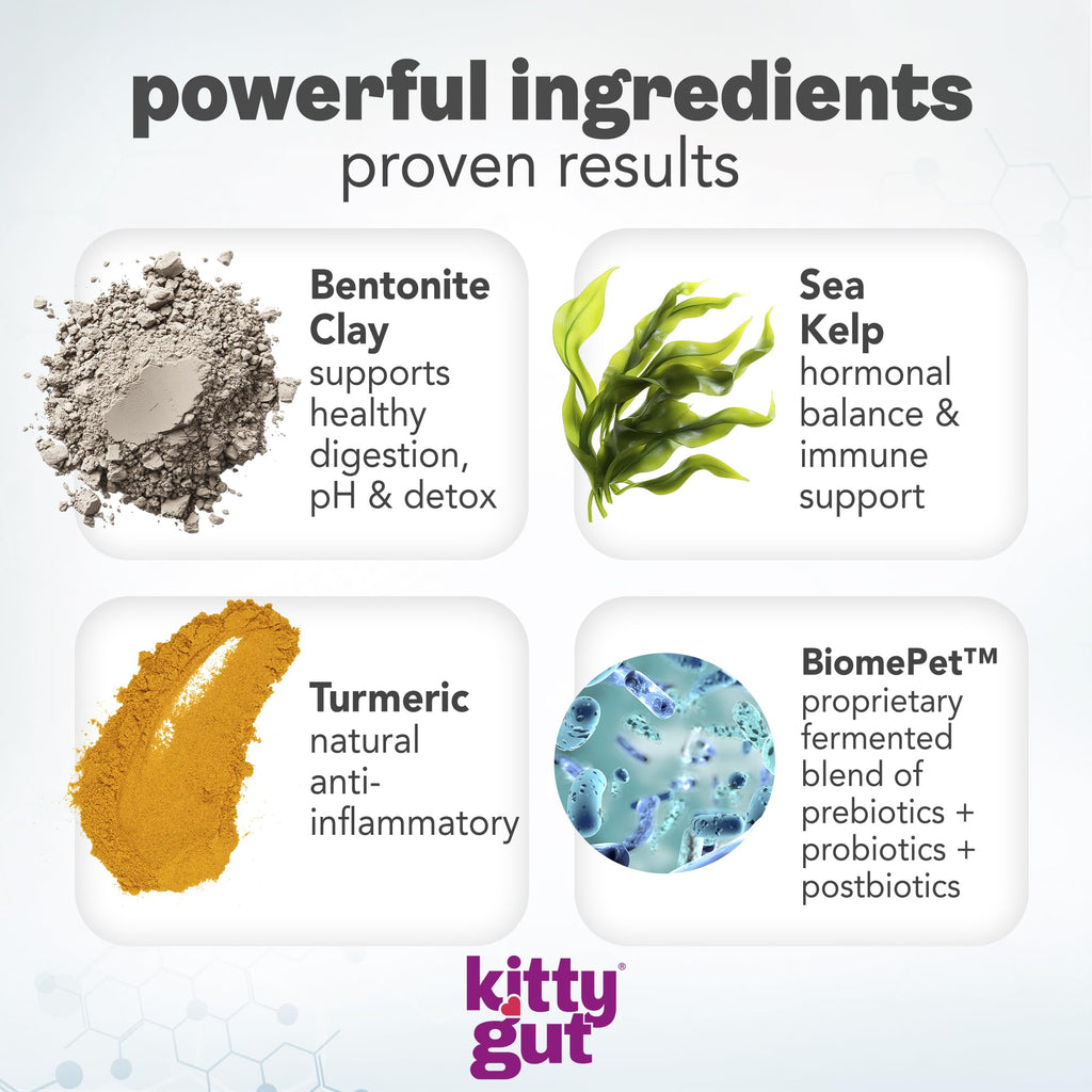KittyGut 3-in-1 Organic Cat Probiotics & Postbiotic Supplement Powder- Made in USA-Probiotics for Cats Promote Gut Health and Cat Digestive Support, Diarrhea and Vomiting (60g) MUTTGUT Au supplements