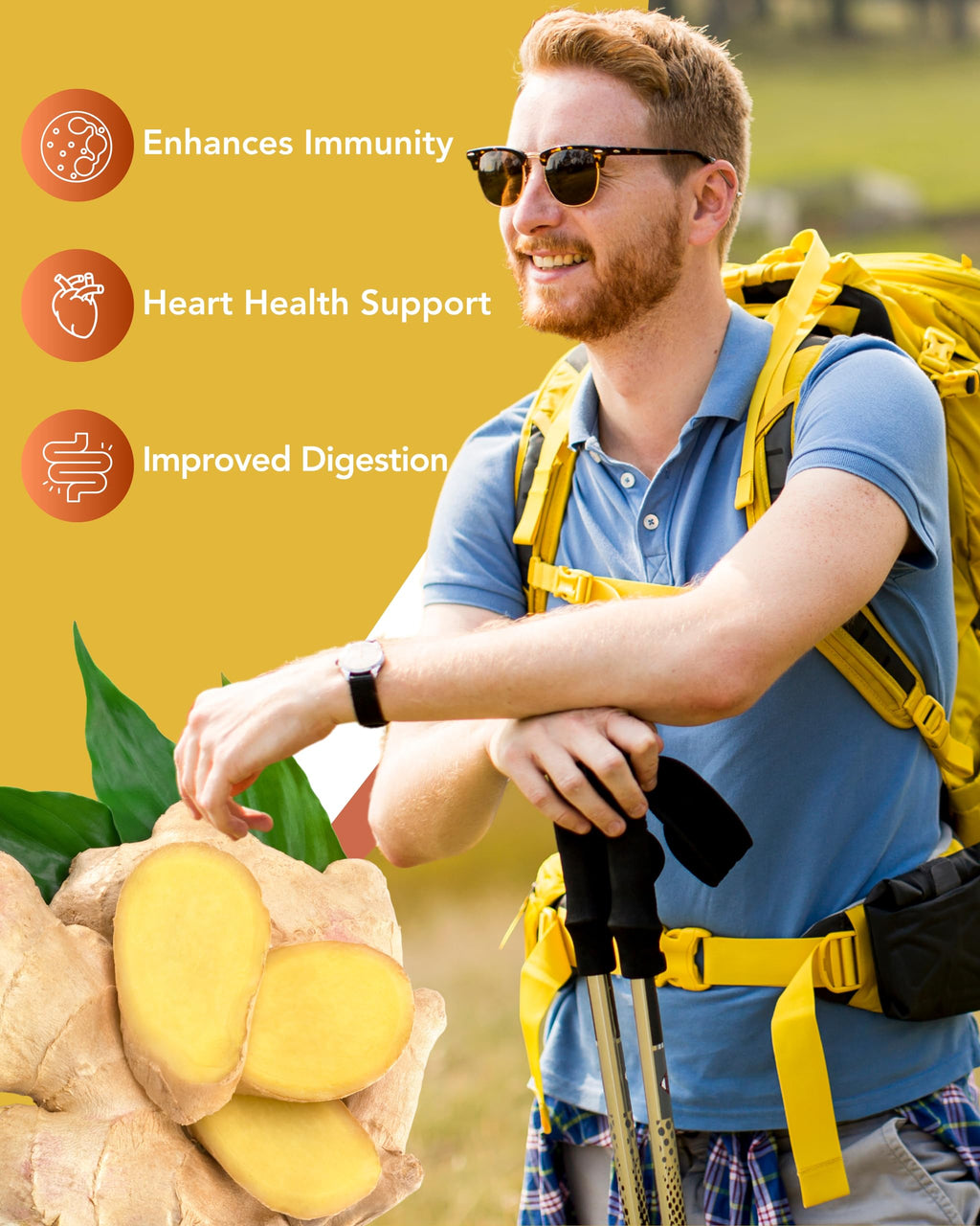Organic Turmeric & Ginger Capsules - Turmeric Curcumin with Ginger & BioPerine, 95% Curcuminoids - Joint, Digestion, Immunity Support, Black Pepper Extract for Increased Absorption CogniTune Au supplements
