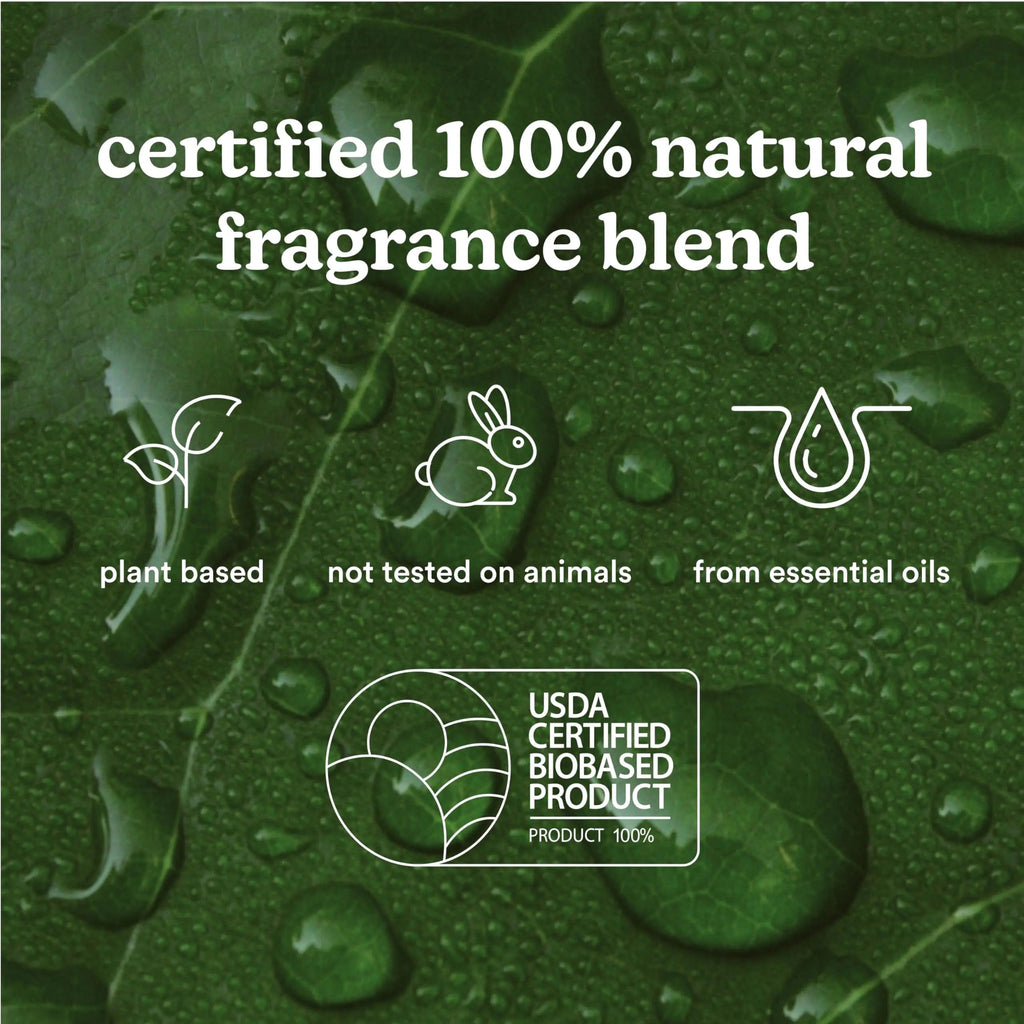 Homedics SereneScent Moroccan Magic Fragrance Oil Bottle, 120 ml, Clean & Natural, Fruity & Woody Homedics Au supplements