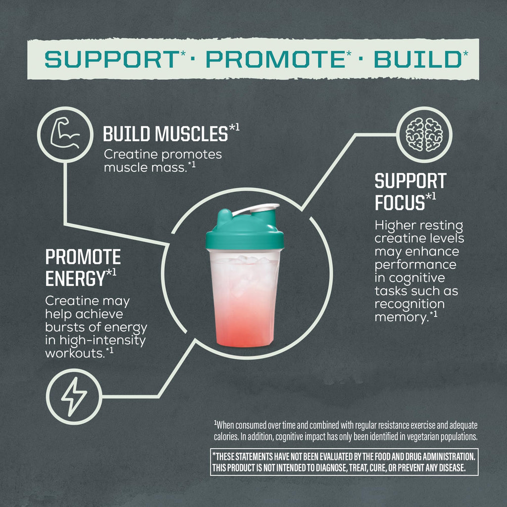 Creatine Monohydrate Powder Micronized PreWorkout Recovery Supplement | Support Muscle Building Strength Training Cognition | Vegan & Keto Friendly Easily Mixes