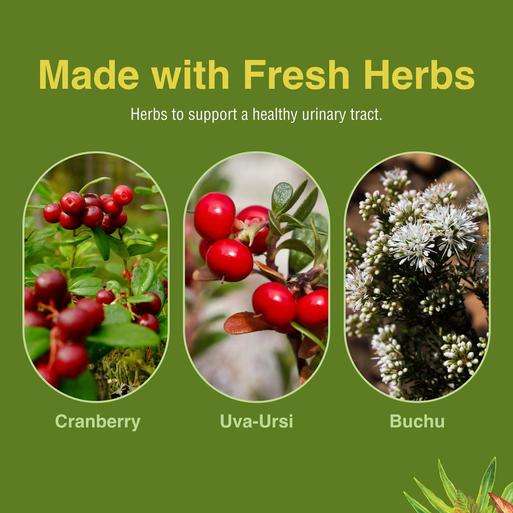 Herbs Etc. CranBladder ReLeaf Softgels - Bladder Health Support - Natural Supplement Formula to Aid Urinary Health & Comfort - Optimal Urinary Support with Cranberry - 60 Softgels (60 Servings) Herbs Etc. Au supplements