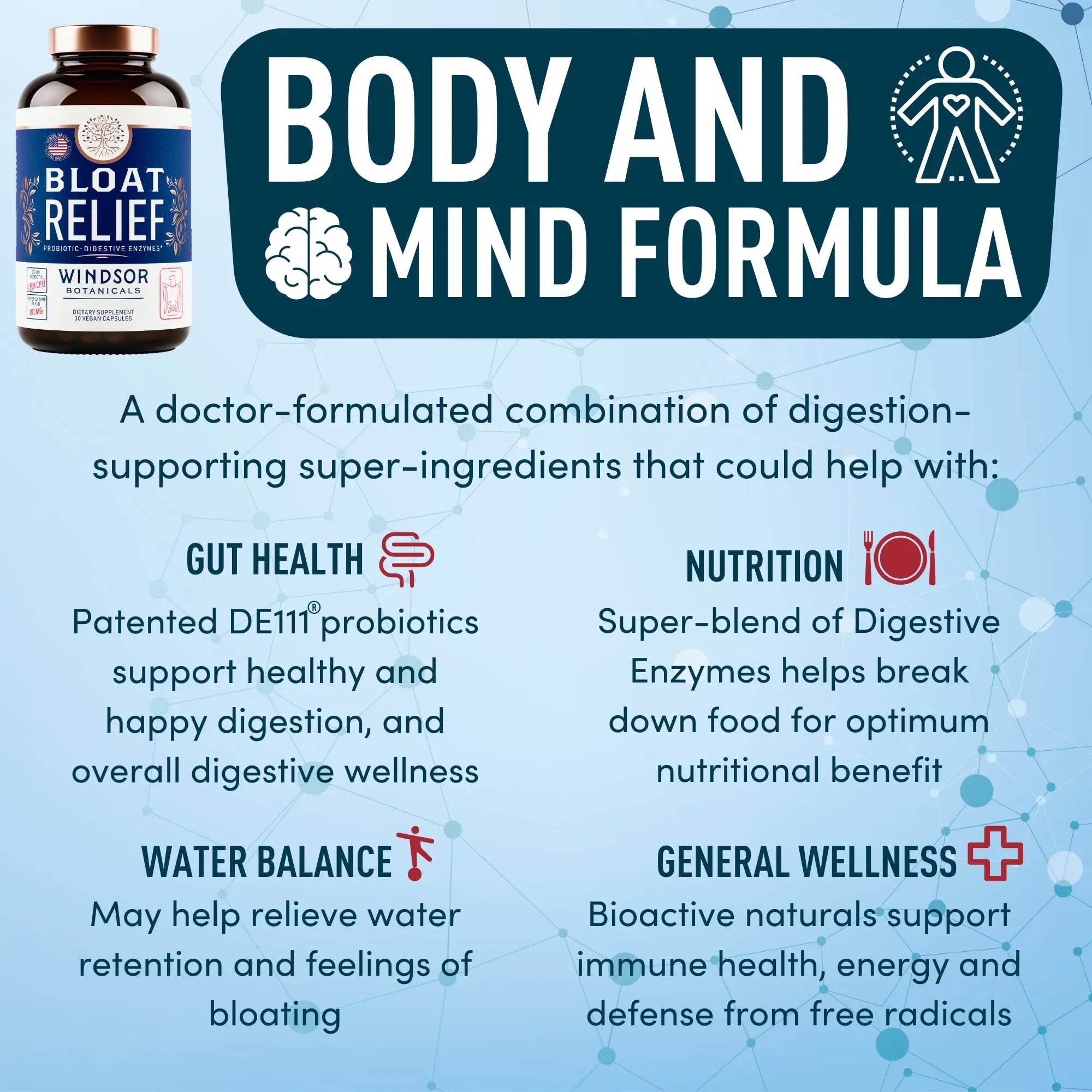 Bloat Relief Probiotic and Digestive Enzymes - Anti Bloating Turmeric, Fennel, Bromelain IBS WINDSOR BOTANICALS Au supplements