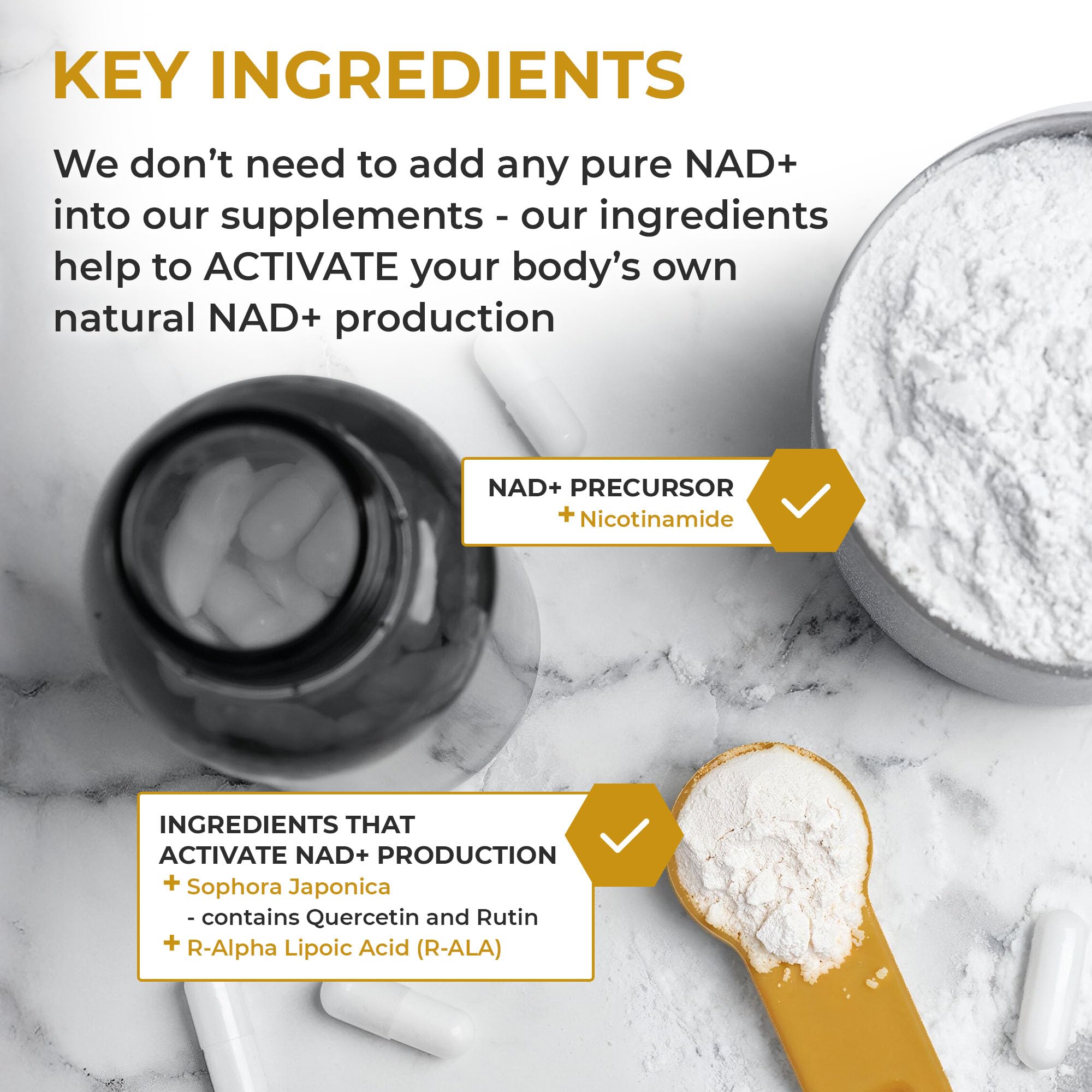Nuchido Time+ NAD Supplement for Men & Women - Advanced Formula for Healthy Aging, Energy, Focus, Cellular Health & Longevity - Nicotinamide, Alpha Lipoic Acid, Quercetin - 90 Capsules Nuchido Time+ Au supplements
