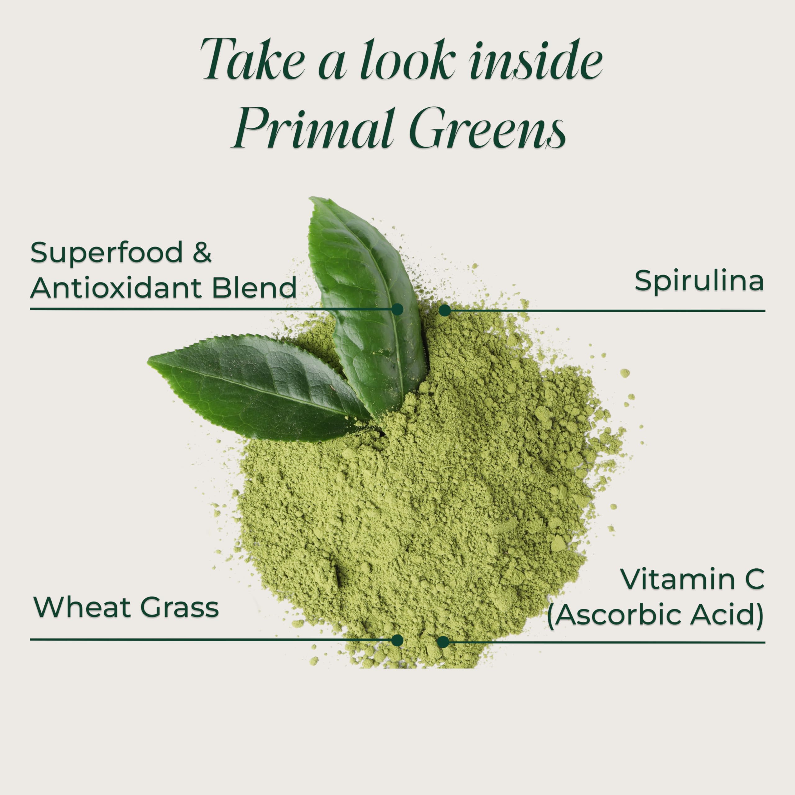 Primal Harvest Super Greens Powder, 30 Servings w/+50 Greens Superfood Chlorella, Probiotics, Green Tea, Wheatgrass,