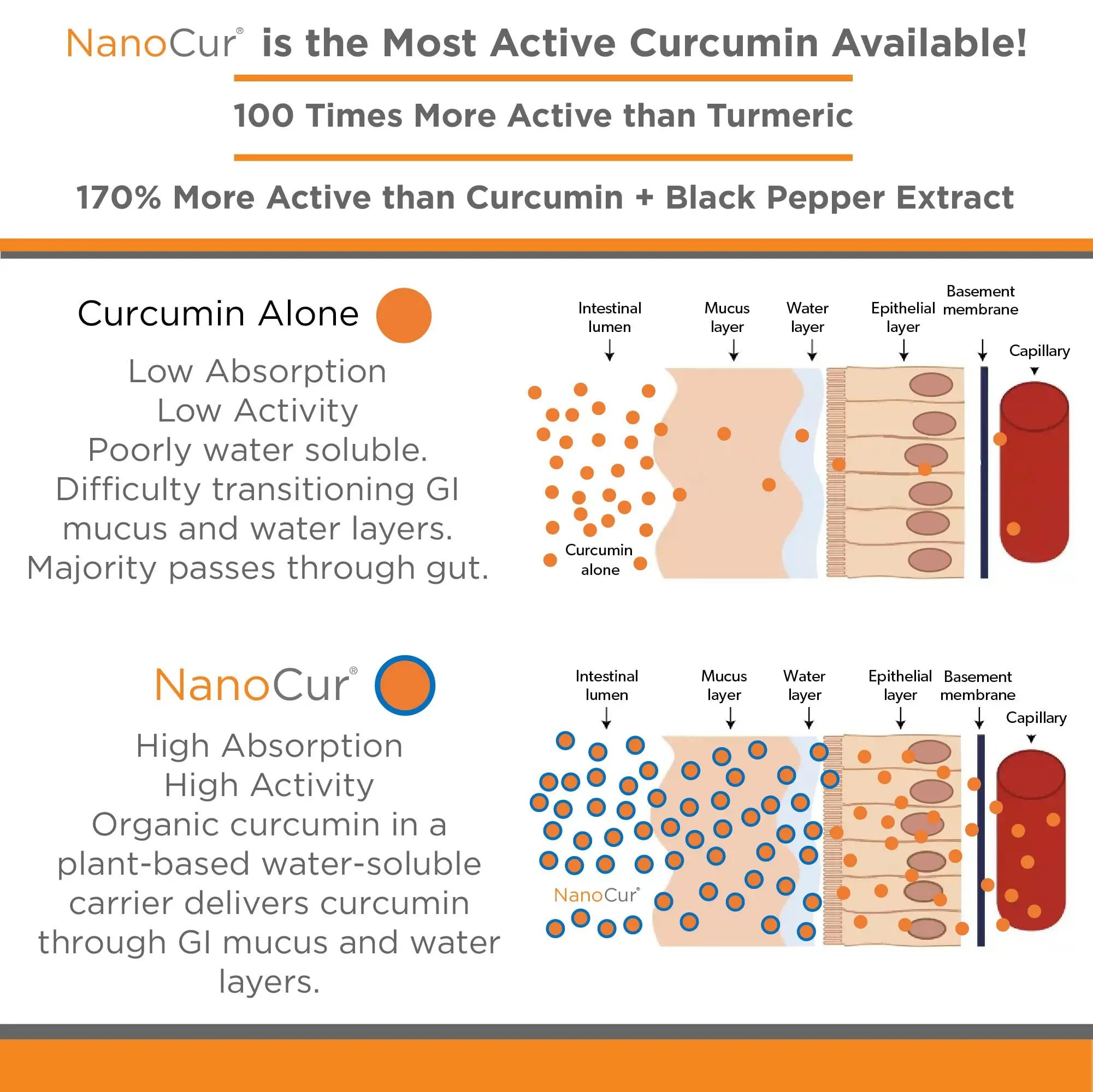 Nanocur Turmeric Curcumin - 100x More Active Than Turmeric, 170% More Active Than Nanocur Au supplements