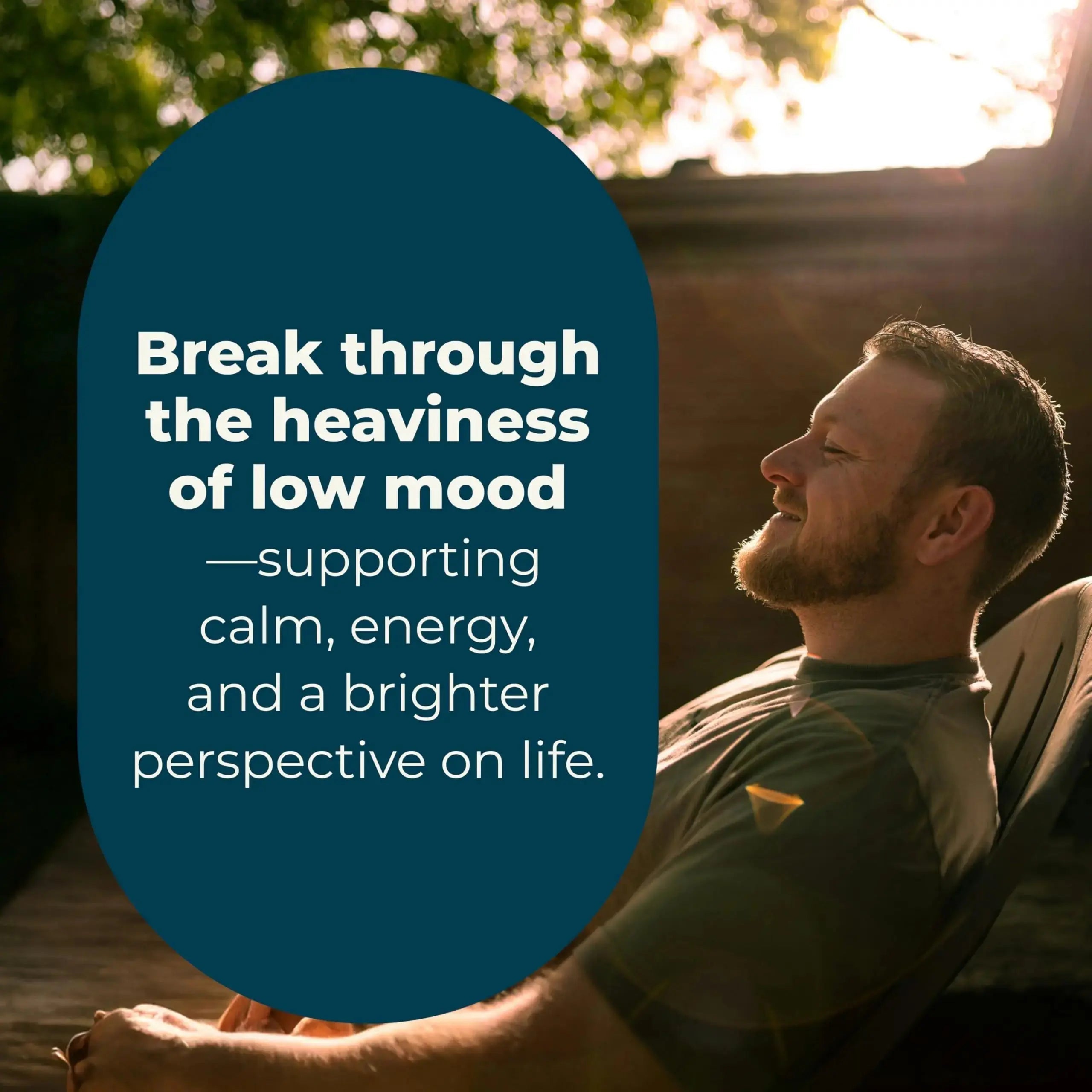 LifeSeasons - Mood Stabili-T - Positive Mood Booster - Enhanced Calmness and Happiness - Relaxed and Balanced Mind LifeSeasons Au supplements