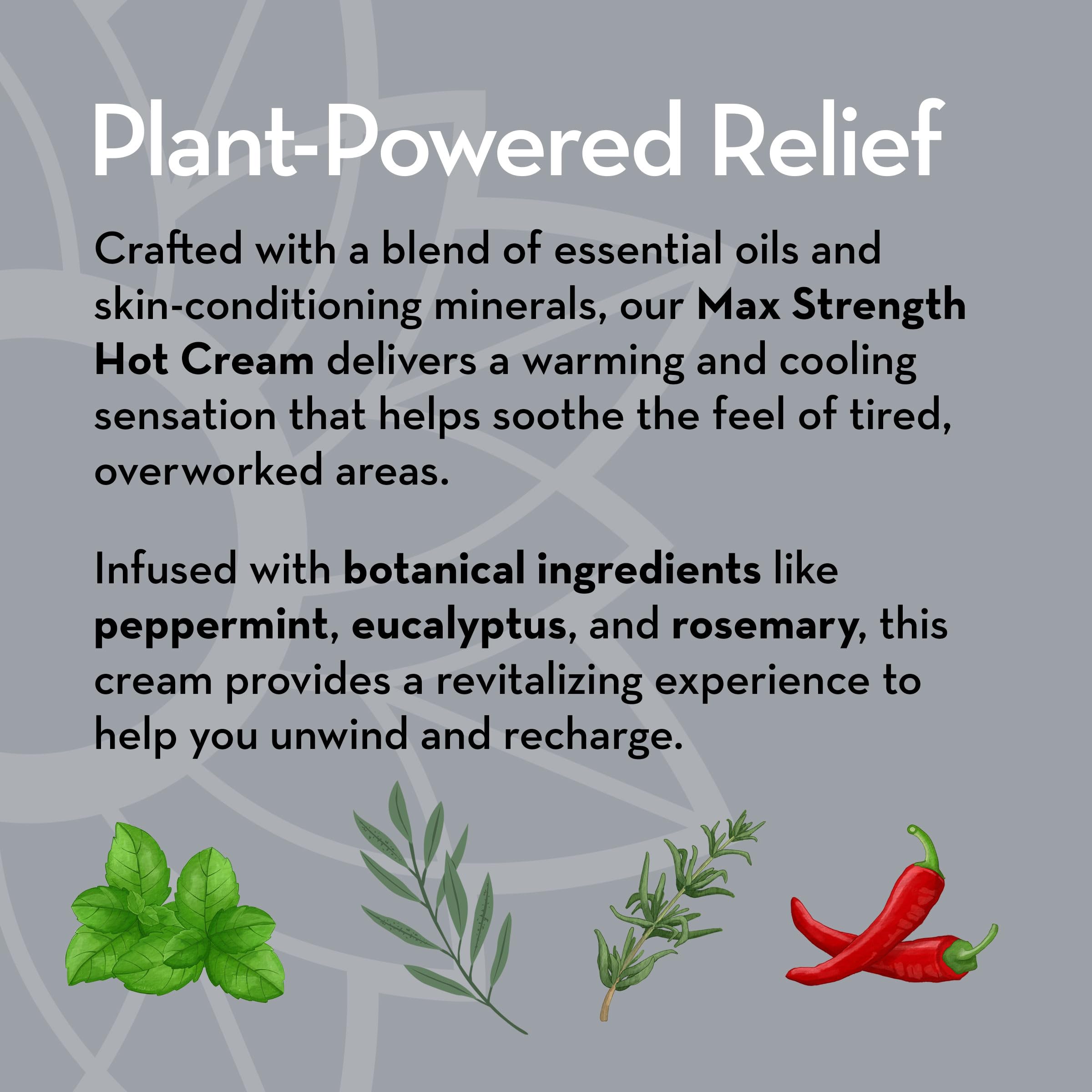 Pure Body Naturals Max Strength Hot Cream – Warming & Cooling Cream with Capsaicin and Menthol – Soothing Comfort for Overworked Muscles – 8.8 oz Pure Body Naturals Au supplements