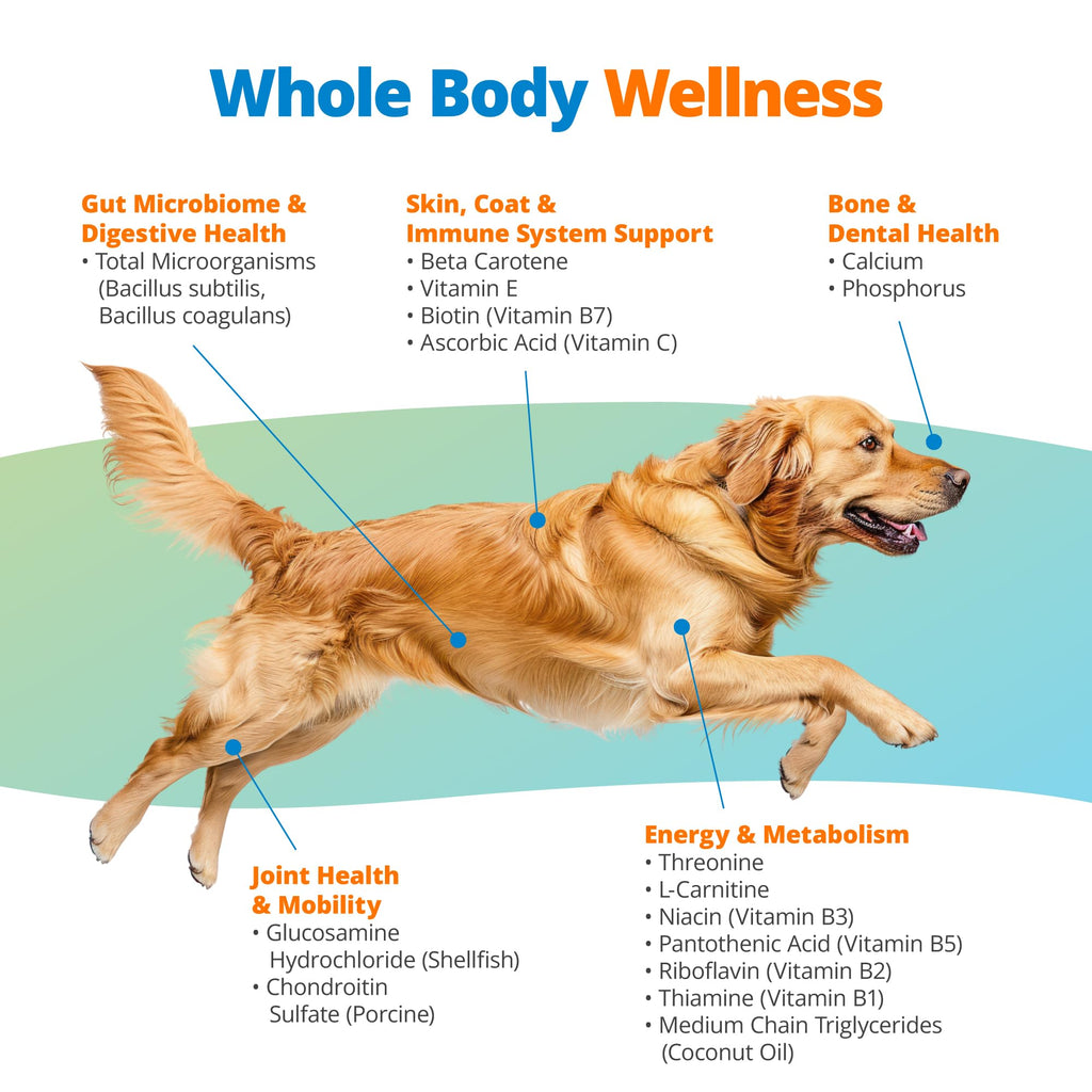 5Strands Dog Multivitamin Chews, 10-in-1, Vitamins & Postbiotics, All Ages & Breeds - Digestion, Brain, Organs, Heart, Mobility, Vision, Skin & Coat, Immunity - Dog Supplement (Peanut Butter, 90ct) 5Strands Au supplements