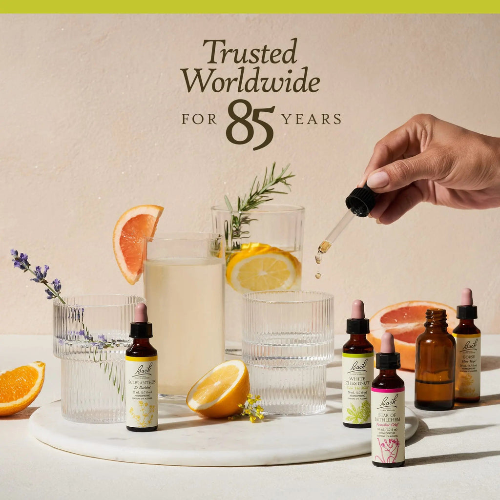 Bach Original Flower Remedies, Wild Rose for Enthusiasm (Non-Alcohol Formula), Natural Homeopathic Bach Au supplements