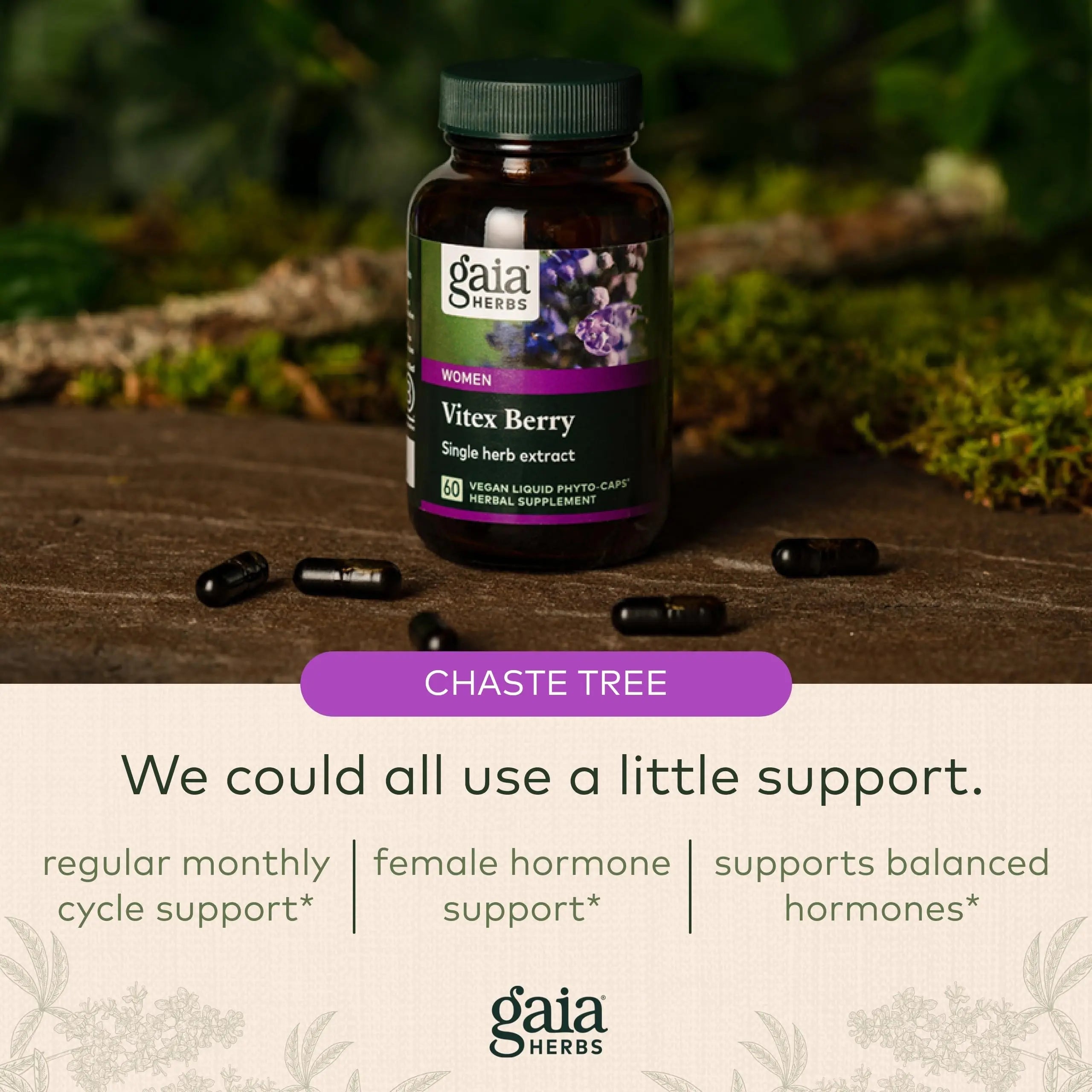 Gaia Herbs Vitex Berry (Chaste Tree) - Supports Hormone Balance & Fertility Gaia Herbs Au supplements