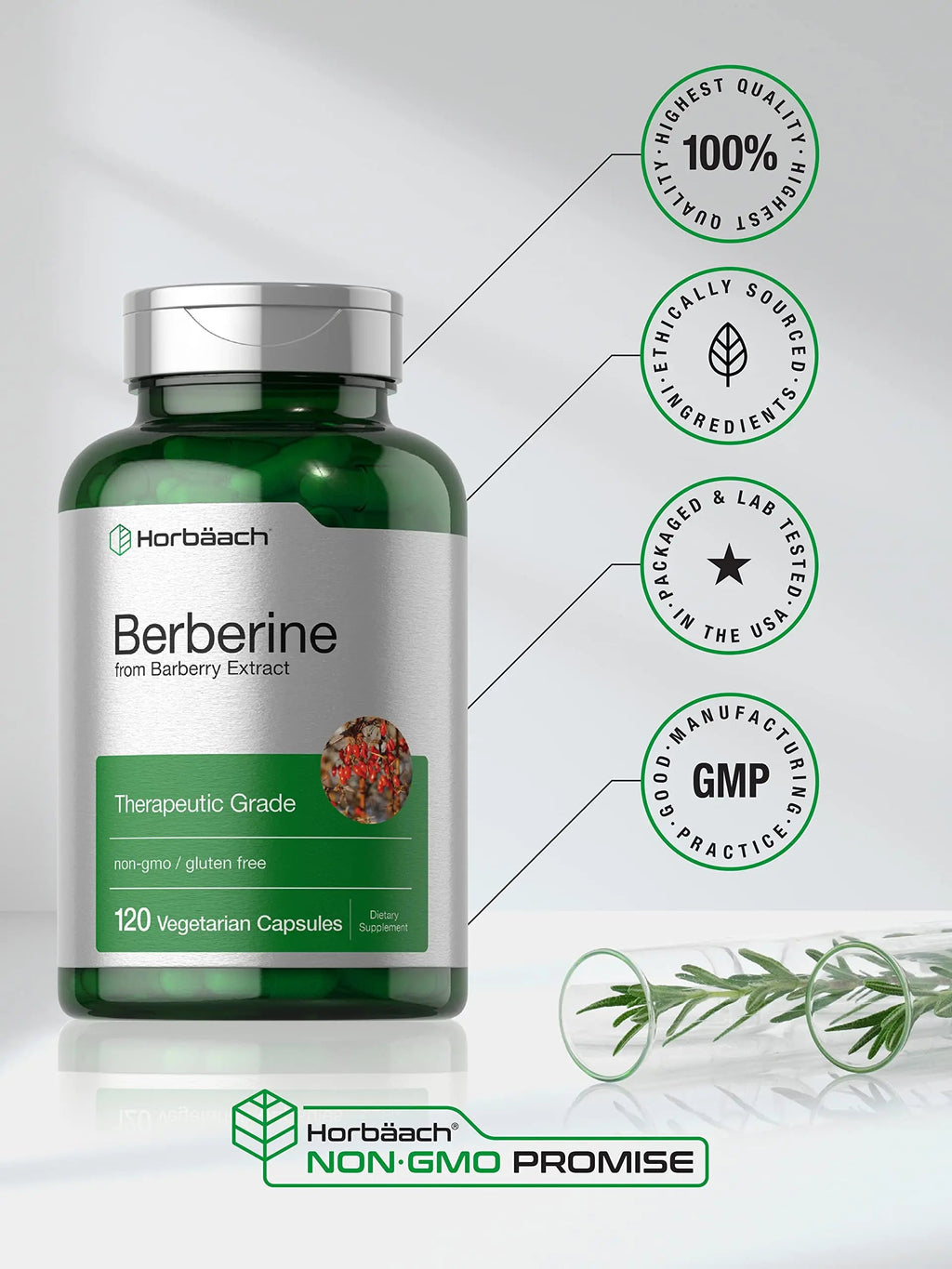 Berberine Supplement | 120 Capsules | Berberine HCl from Barberry Extract | Non-GMO Horbäach Au supplements