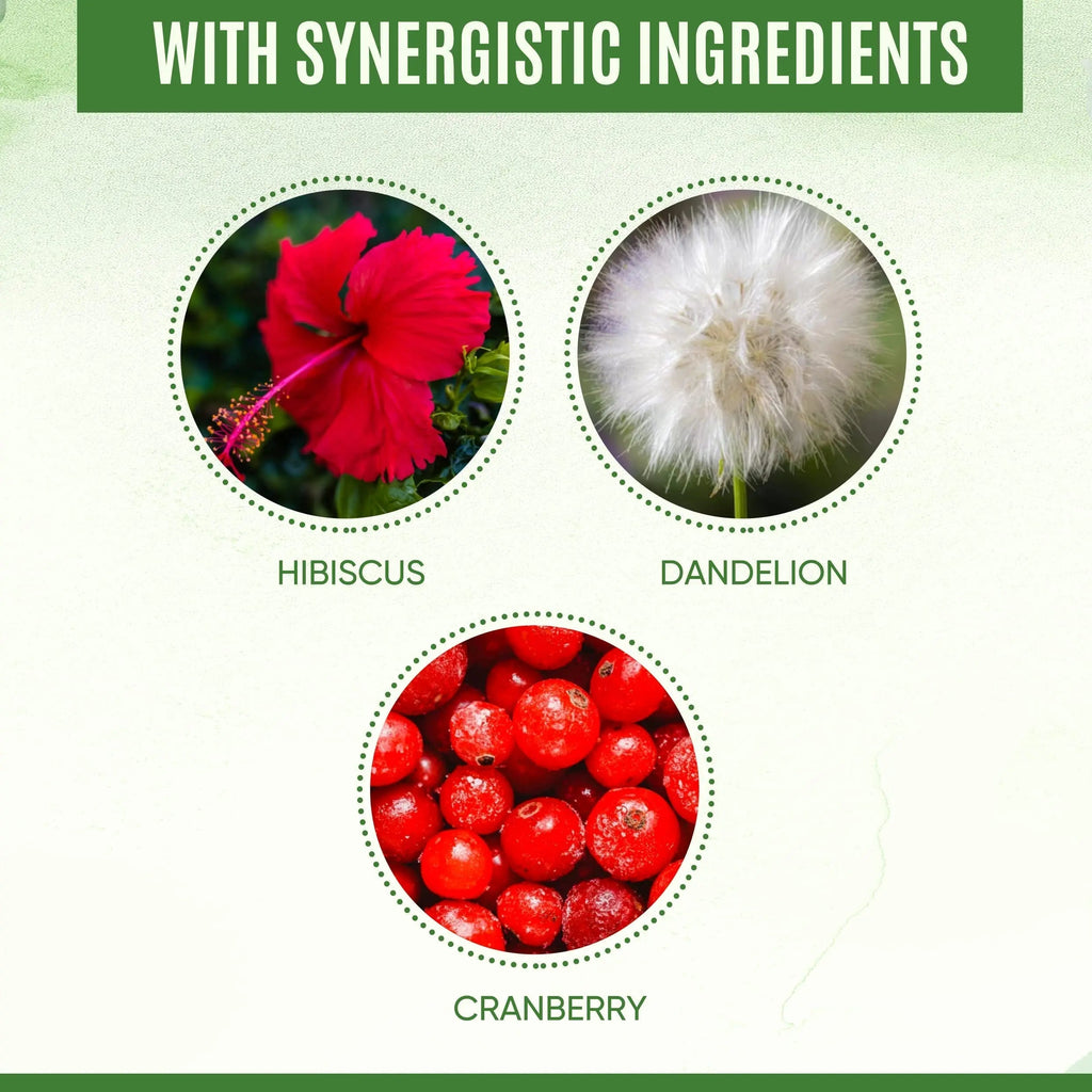 YEVANI 100% Pure D-Mannose Capsules 1000 mg with Cranberry, Hibiscus, and Dandelion Extract, Fast Acting Professional UTI Prevention Formula for Urinary Tract Health and Bladder Support YEVANI Au supplements