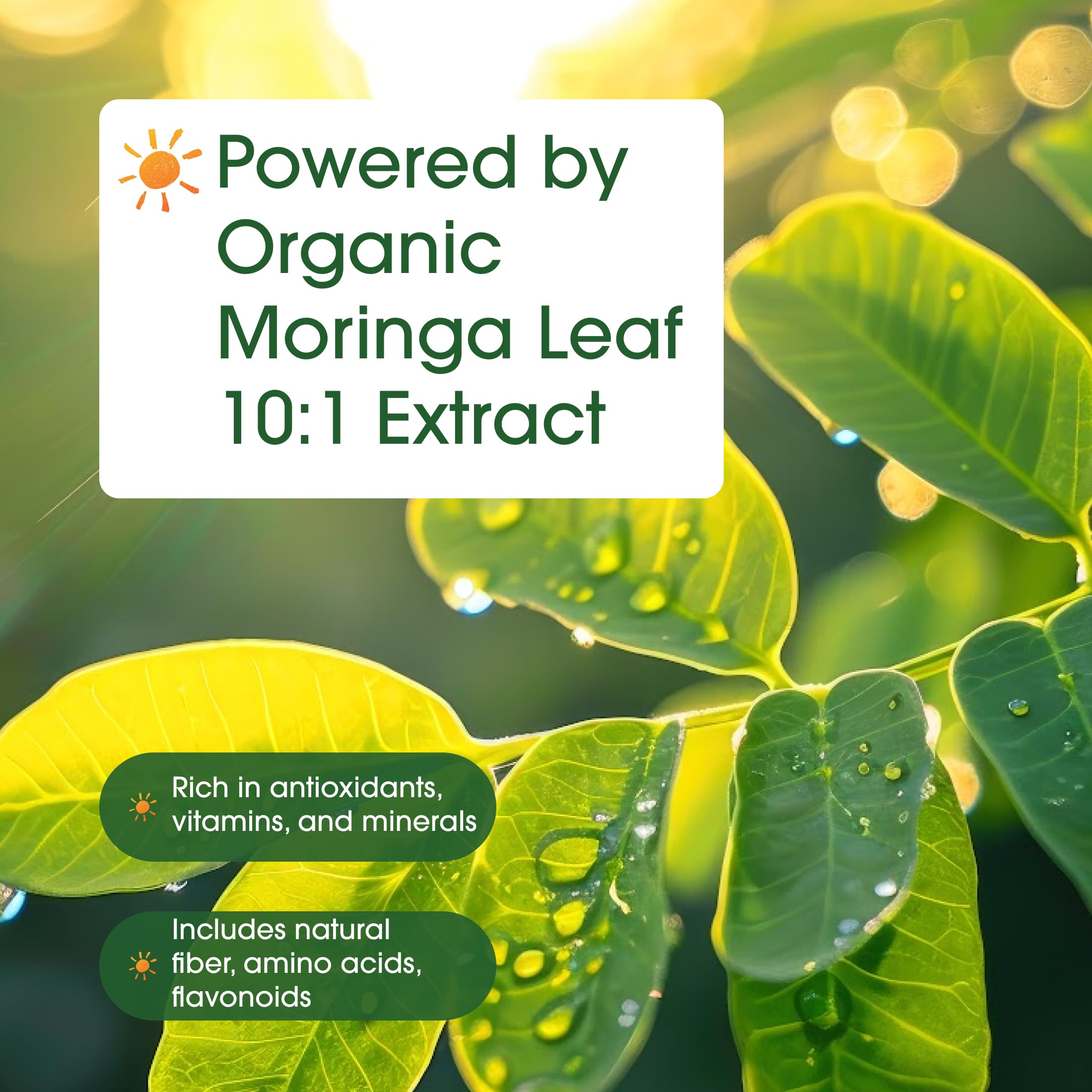 NatureBell Moringa - 240 Capsules - Organic Moringa for Immune, Energy & Skin Health Support - Green Superfood Properties
