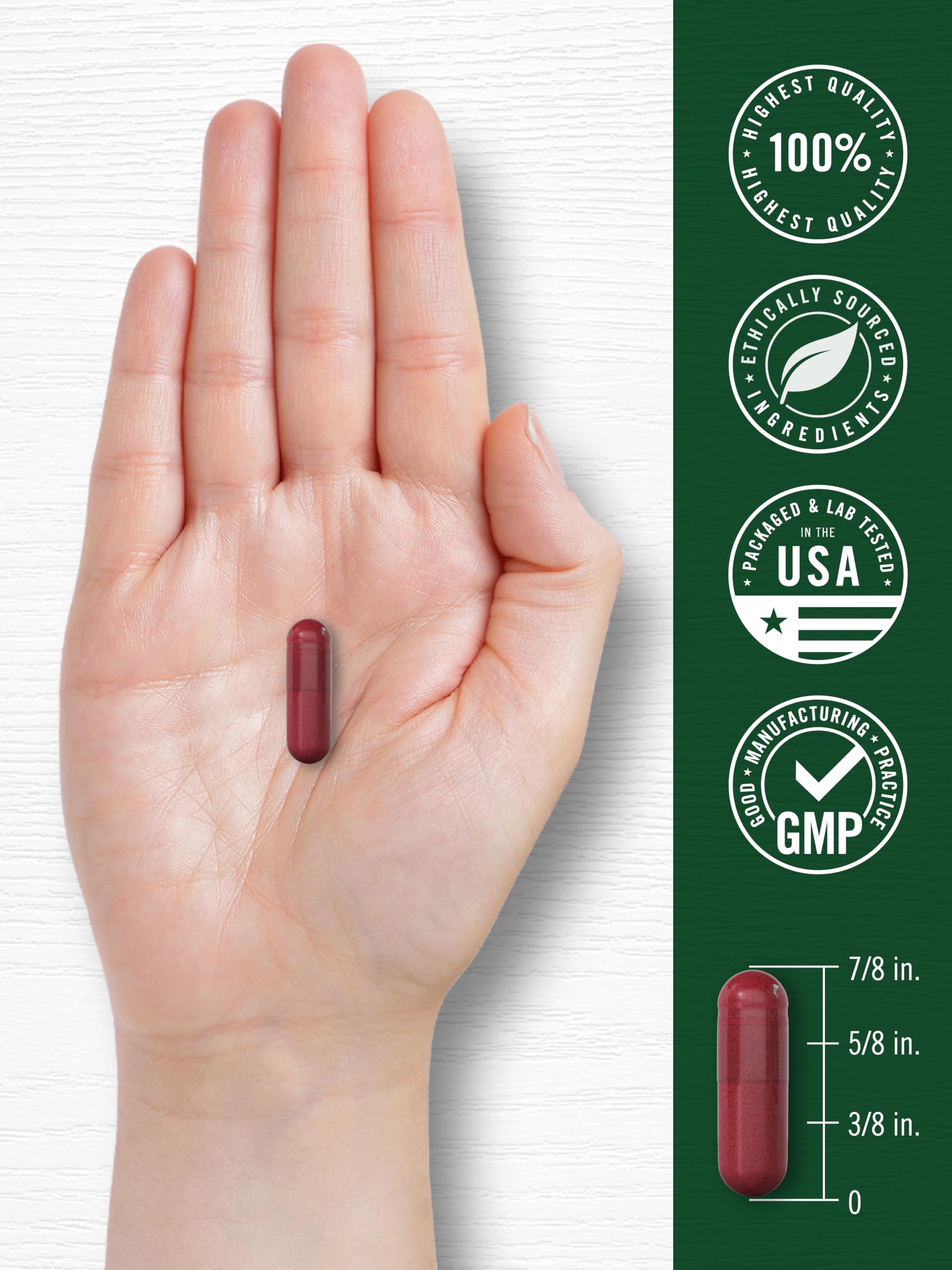 Carlyle Beet Root Capsules | 120 Count | Quick Release Capsules | Non-GMO and Gluten Free Supplement