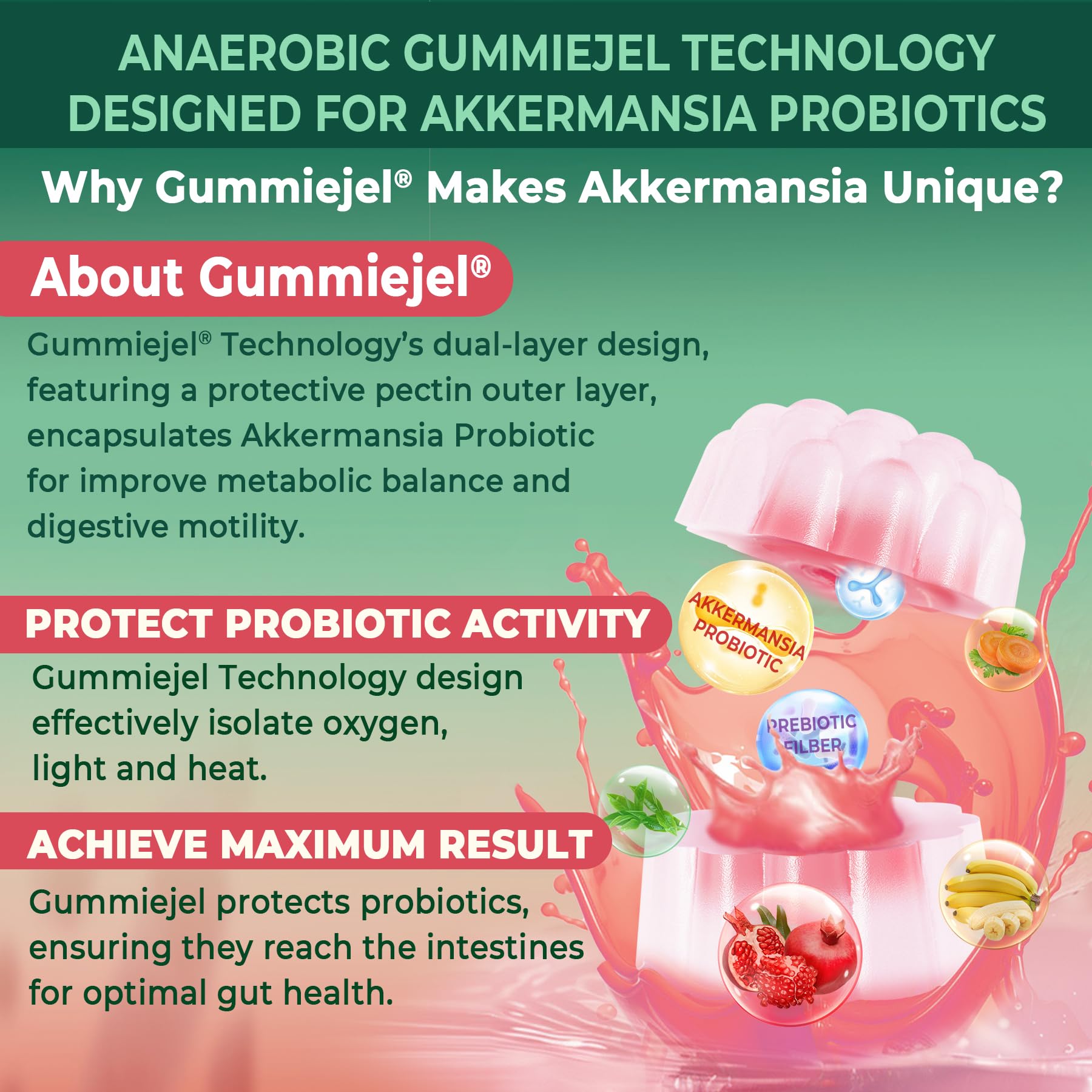 Akkermansia Probiotics Gummies with Prebiotics Fiber, 300 Billion AFU Akkermansia Muciniphila, with Polyphenol Fruits, Resistant Starch
