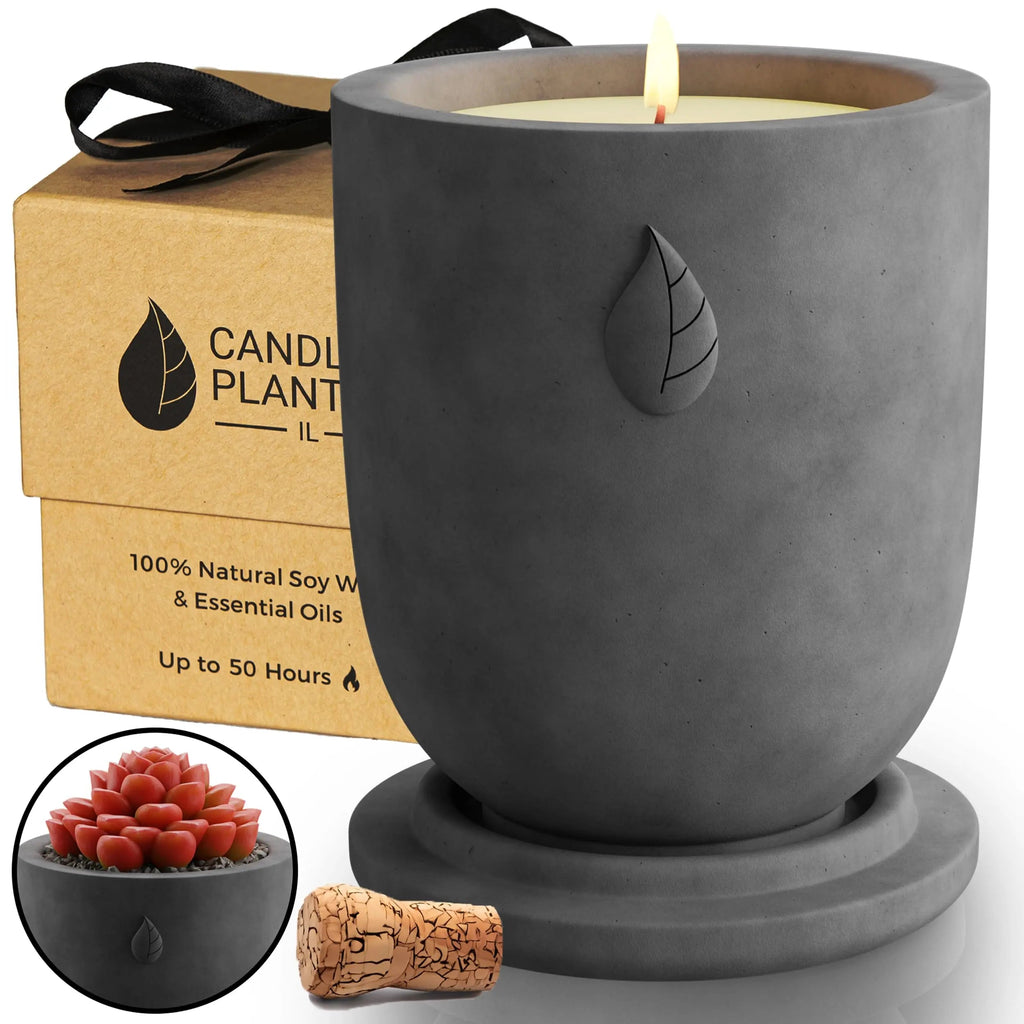 CandlePlanter Concrete Cement Candle Planter - Candles for Home Scented, Soy Candles CANDLEPLANTER Au supplements