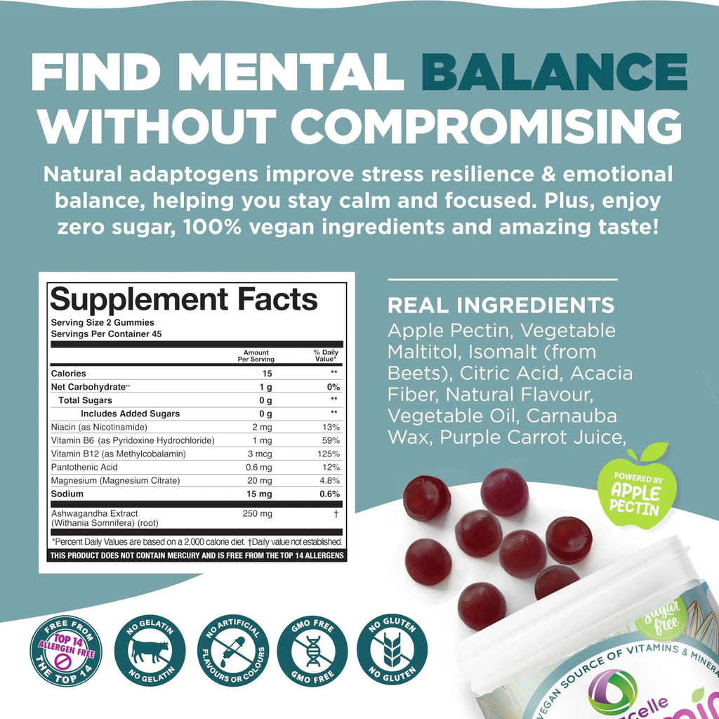 NUTRAMIN Mood Boost Multivitamin Gummy - Delicious & Yummy Anti-Stress Magnesium Ashwagandha Gummies + B Complex Vitamins for Focus and Calm Nutracelle Au supplements