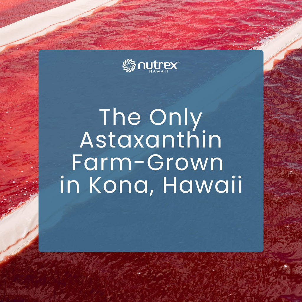 Nutrex Hawaii BioAstin Hawaiian Astaxanthin - 12mg, 90 Softgels - Farm-Direct Premium Antioxidant Supplement to Support Eye, Skin