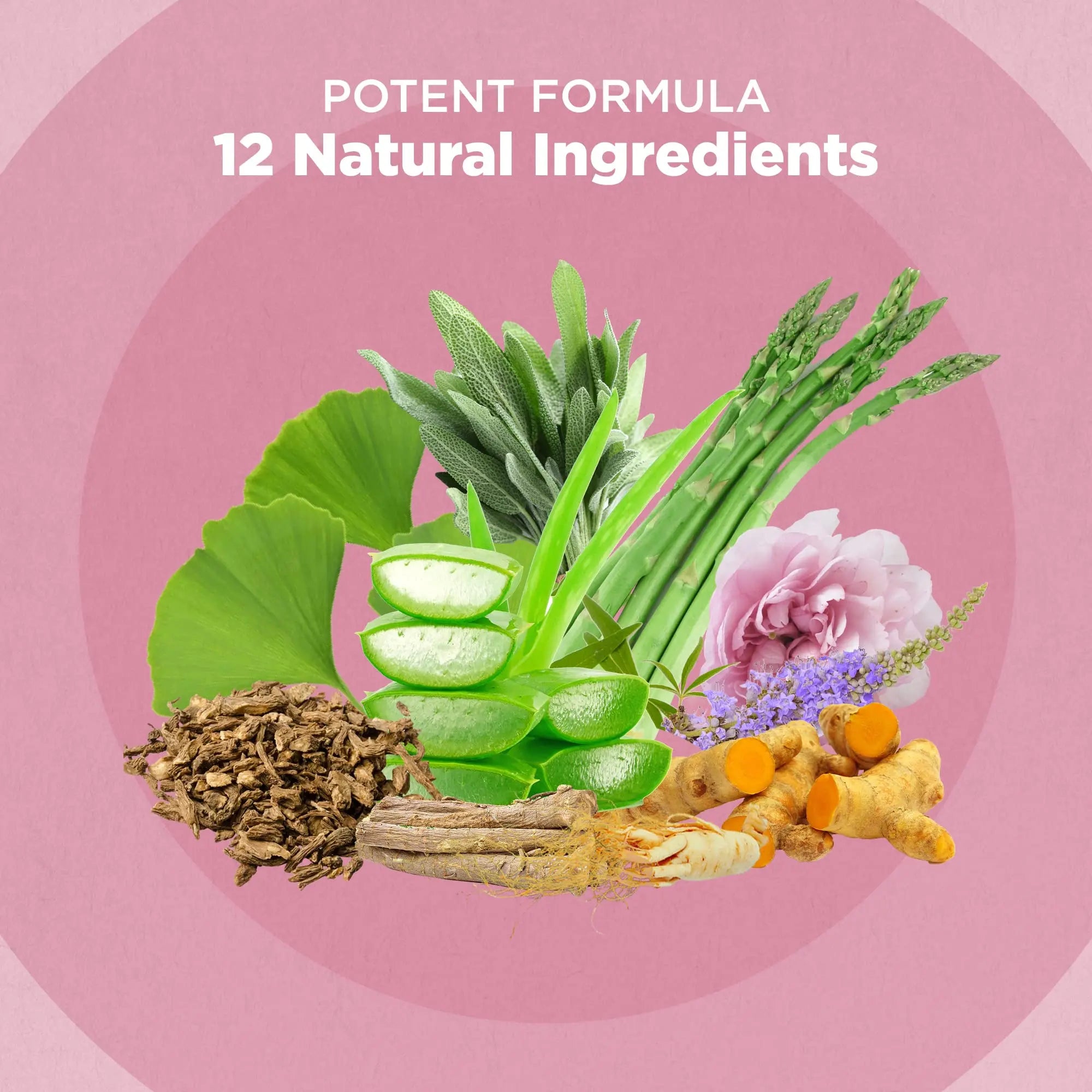 Strength & Spices Hormone Balance 100% Natural Estrogen Supplement – 12 Ingredients w Dong Quai - 60 Vegan UK Made 1000mg Capsules – Fertility and Menstrual Comfort STRENGTH & SPICES100% Natural Vegan Food Supplements Au supplements