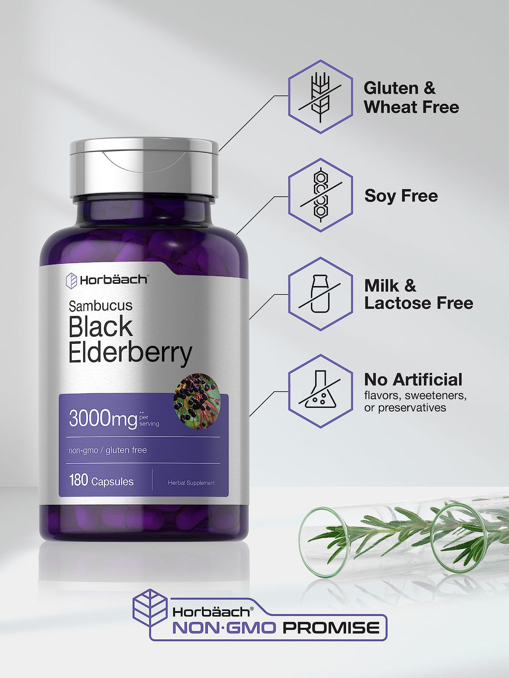 Horbäach Black Elderberry | 180 Count | Non-GMO, Gluten Free | Sambucus Extract Supplement