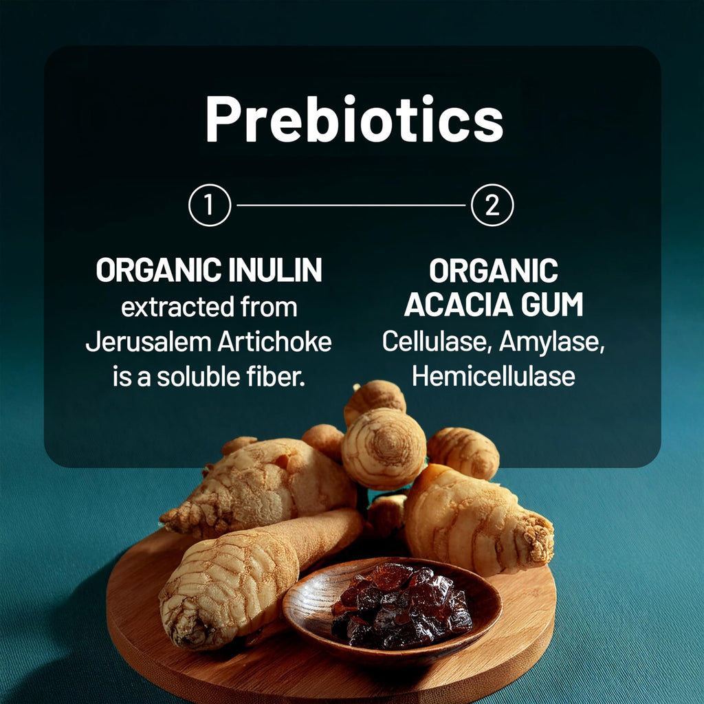 NatureWise Probiotics 60 Billion CFU - 17 Strains + Organic Prebiotics - Immune, Digestive & Gut Health Support for Women & Men - Vegetarian, Gluten-Free, Non-GMO - 30 Capsules[1-Month Supply] NatureWise Au supplements