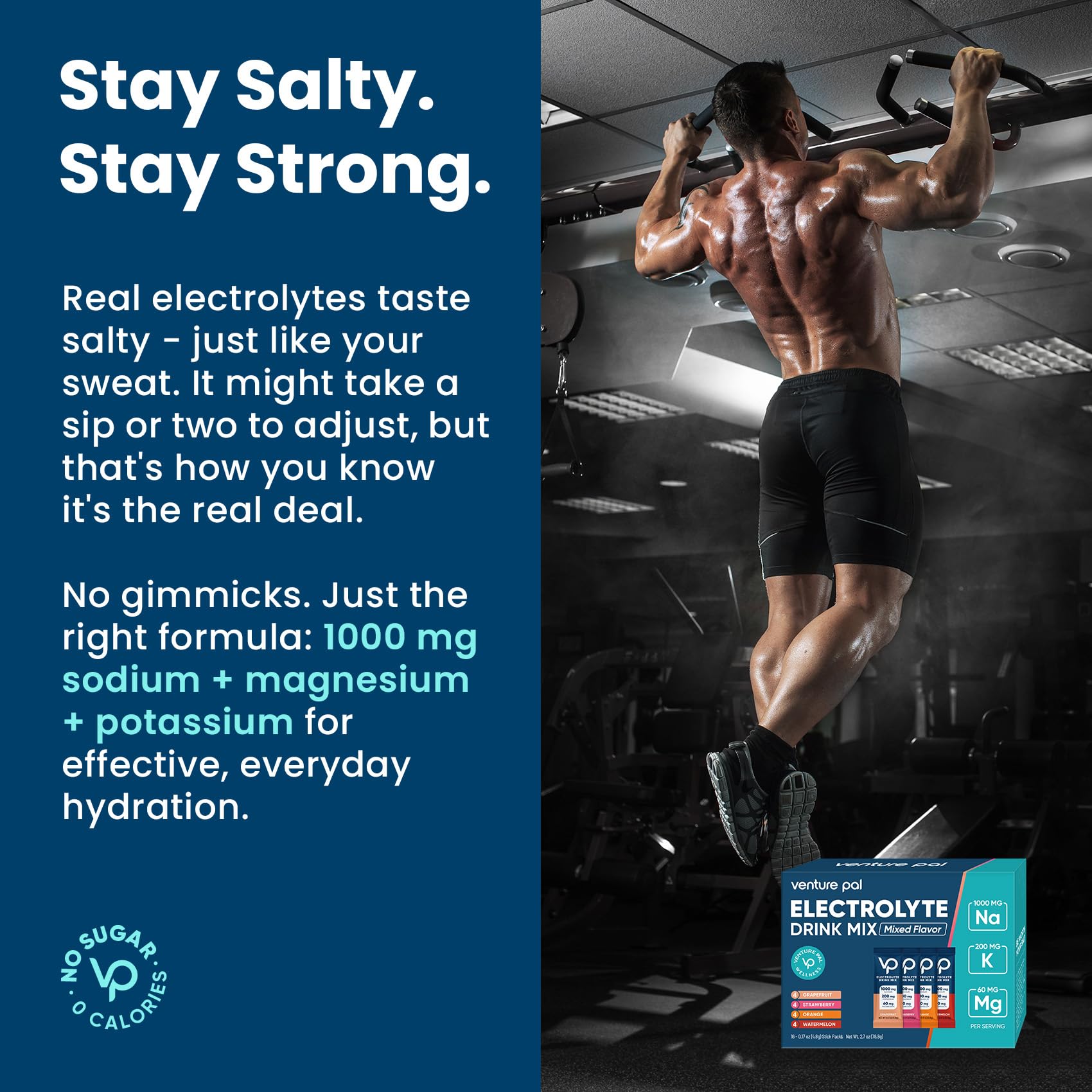 Venture Pal High Sodium Sugar Free Electrolytes Powder Packet - Hydration Packets with Vitamin, Sodium & Potassium | Zero Calories | Vegan, Keto & Paleo Friendly