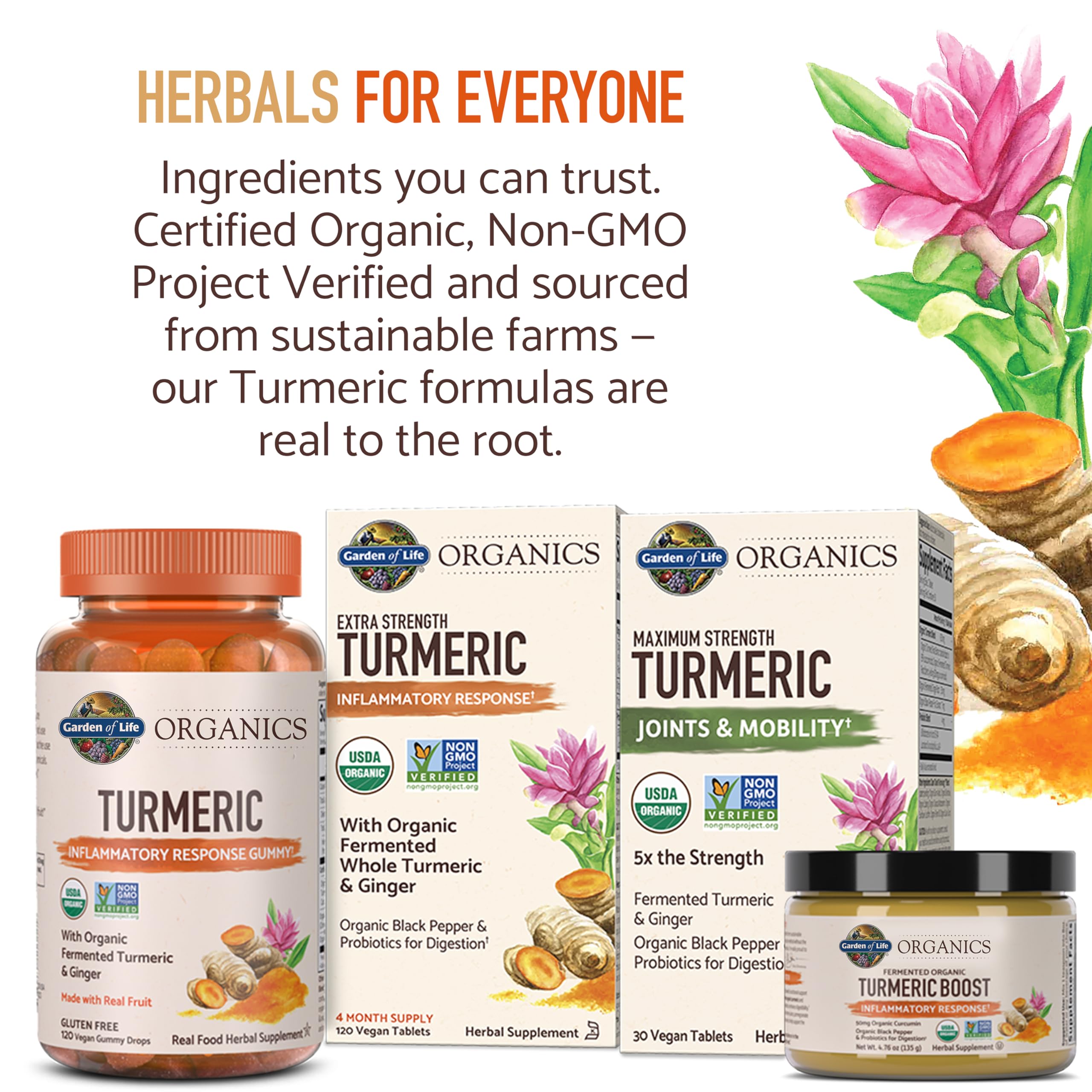 Garden of Life Organics Golden Milk Recovery & Nourishment Powder - 44mg Turmeric Curcumin (95% Curcuminoids), Ashwagandha - Organic Non-GMO Vegan & Gluten