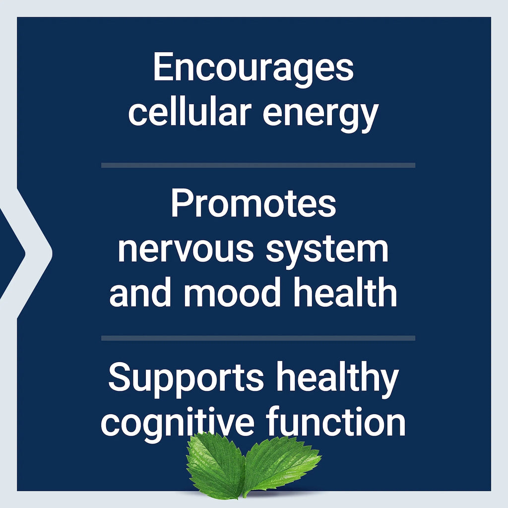 Life Extension Acetyl-L-Carnitine, Acetyl-L-Carnitine, vitamin C, Brain, mood & nerve health Life Extension Au supplements