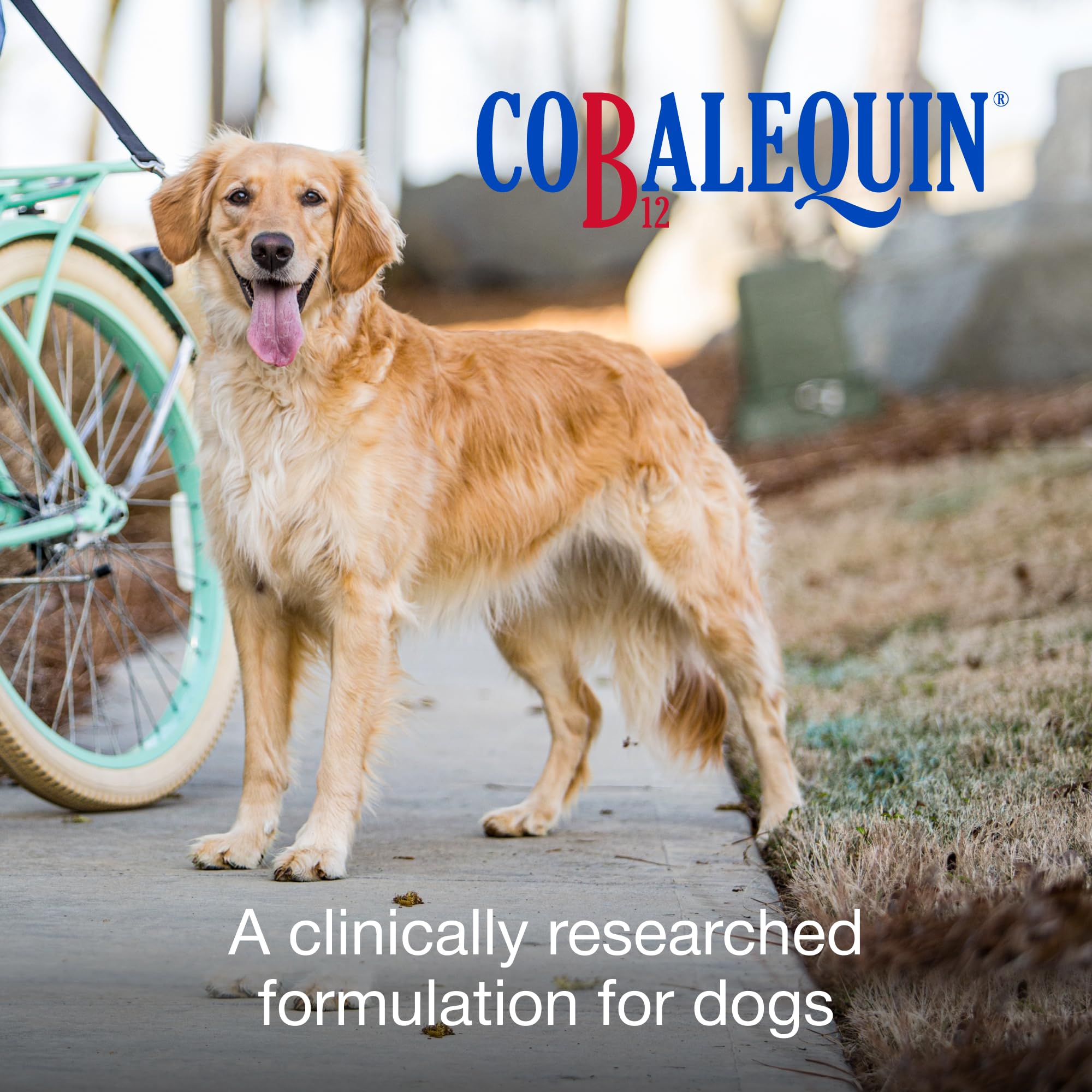 Nutramax Cobalequin B12 for Dogs, Oral Cobalamin Supplement with Folate, Vitamin B12 for Dogs Over 22 lbs., Supports GI Health, Chewable Tablets, 45 Count