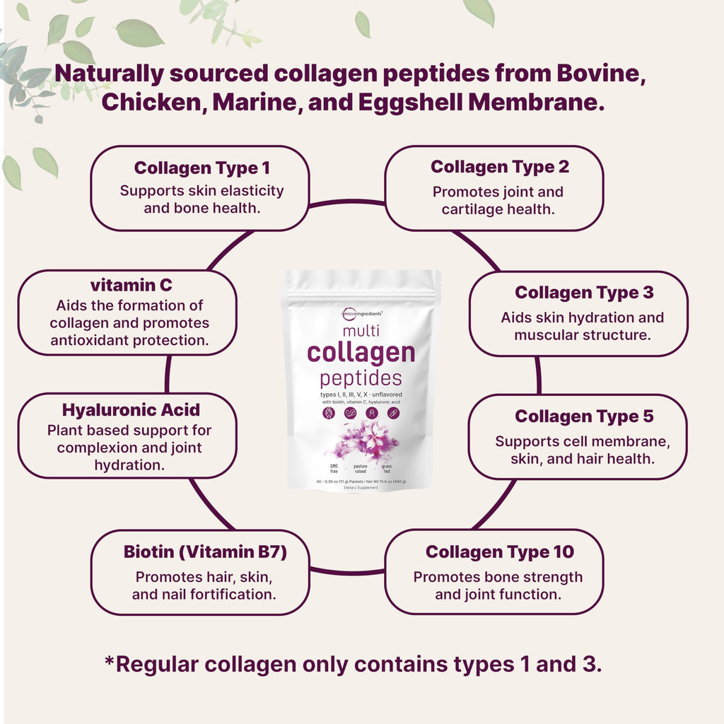 Micro Ingredients Multi Collagen Peptides Powder, 40 Stick Packs | Type I, II, III, V, X + Biotin, Vitamin C & Hyaluronic Acid | Unflavored