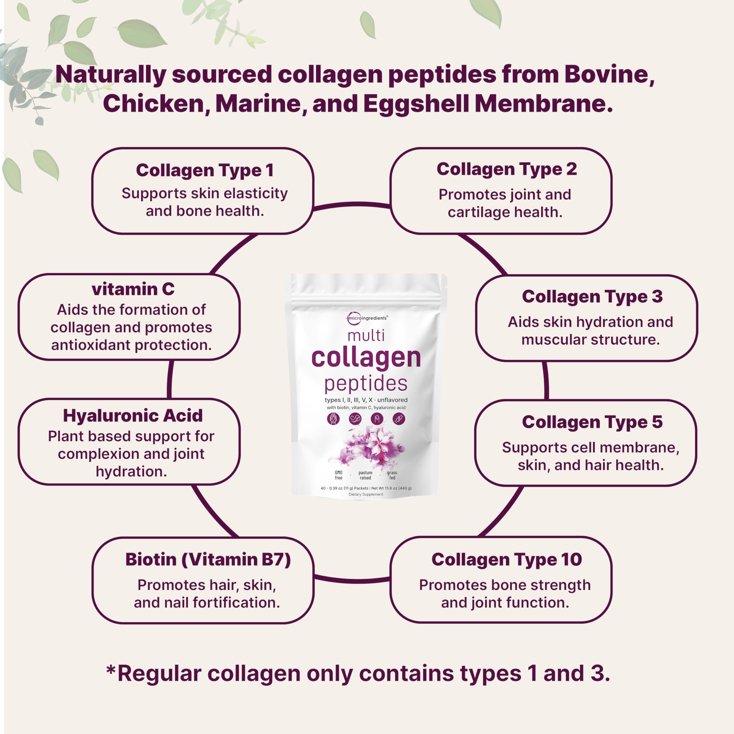 Micro Ingredients Multi Collagen Peptides Powder, 40 Stick Packs | Type I, II, III, V, X + Biotin, Vitamin C & Hyaluronic Acid | Unflavored